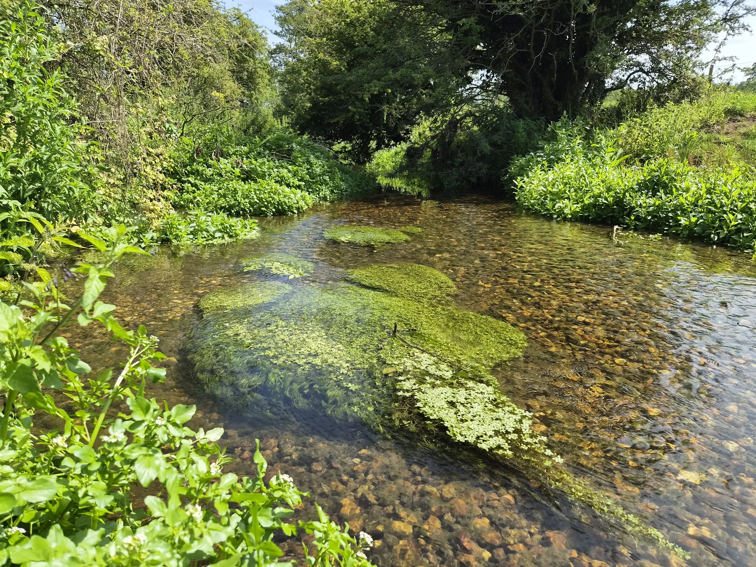 River Ash with added gravels