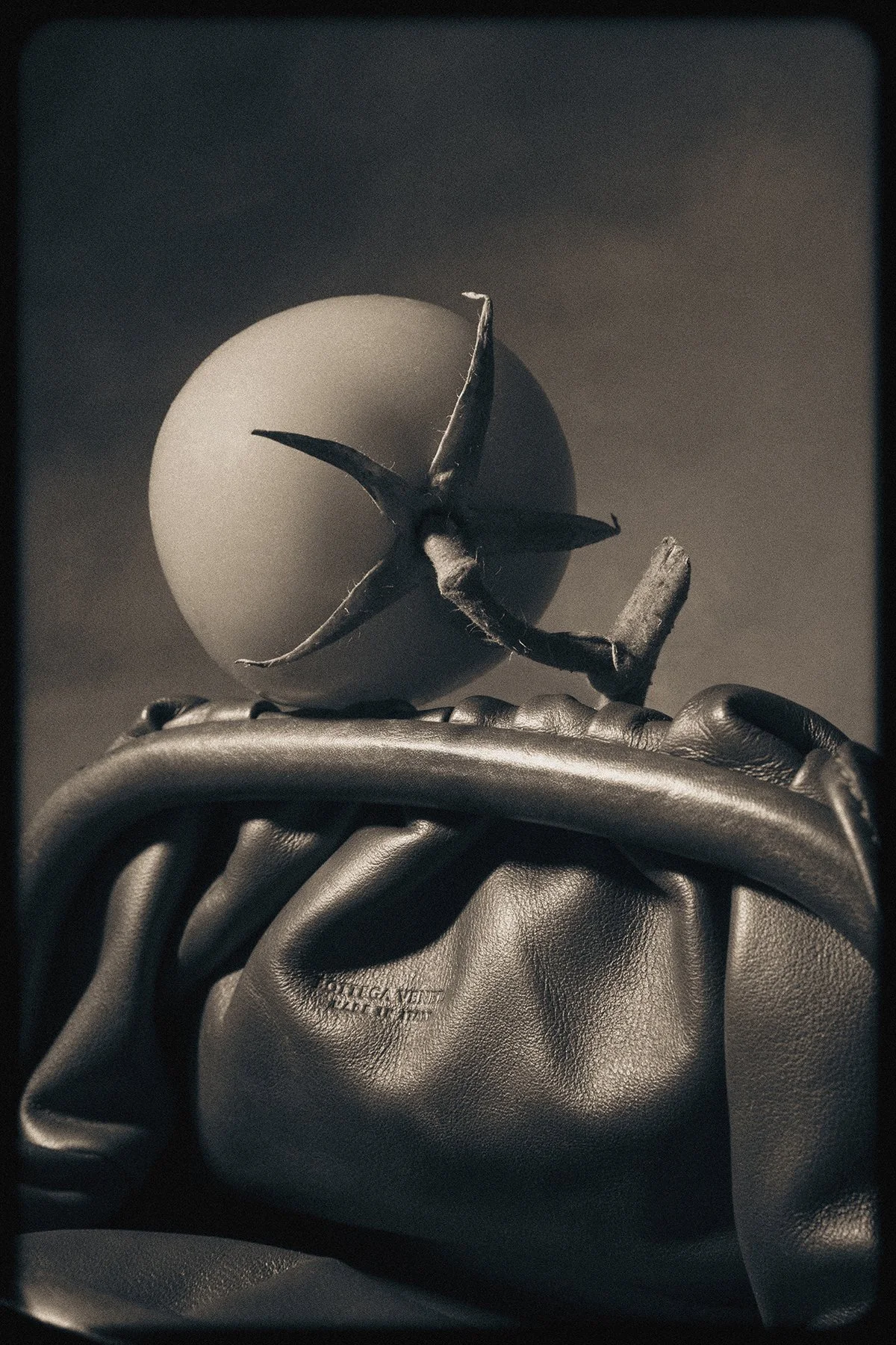 BOTTEGA VENETA /soon