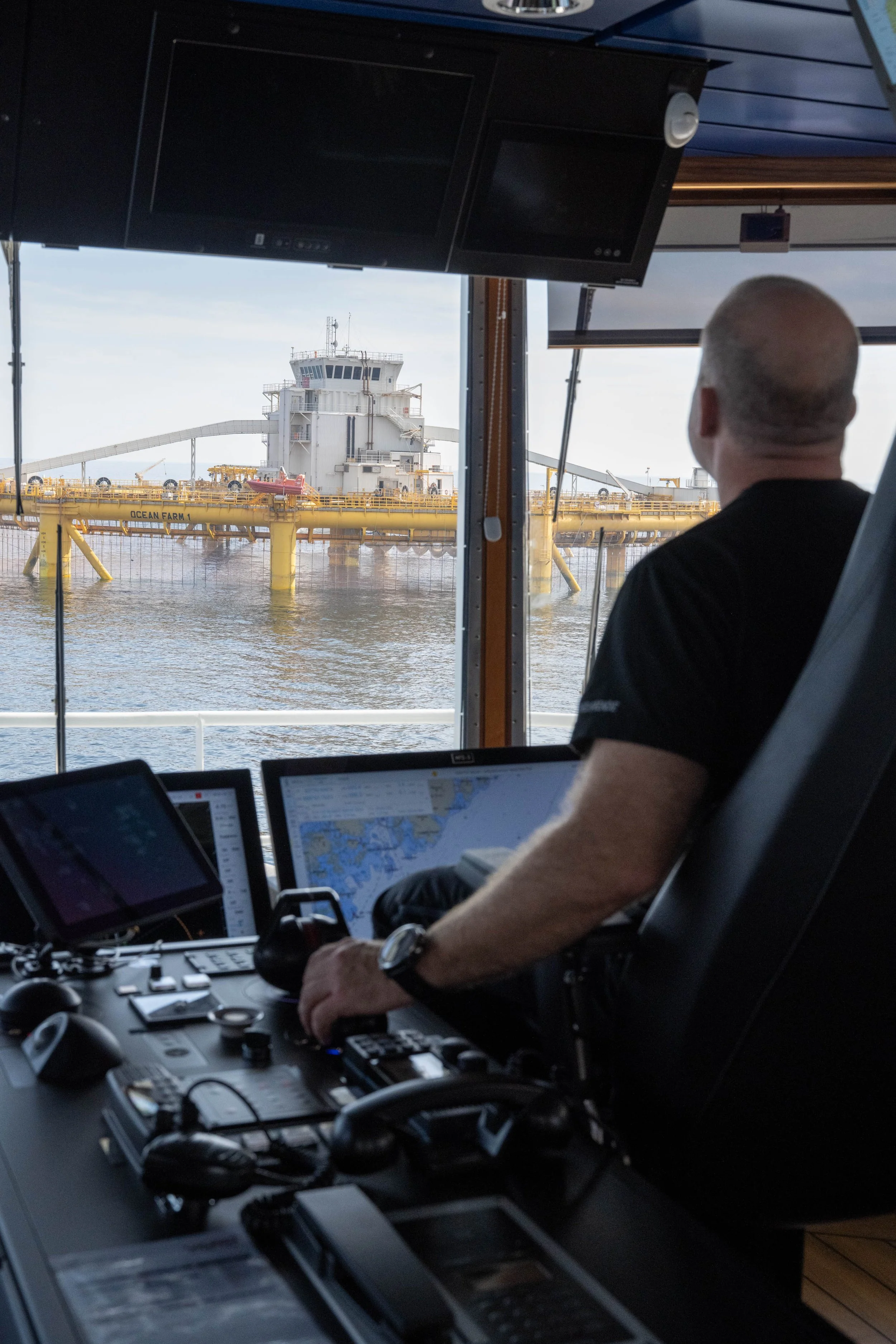 eidsvaag_havmerda-0210.jpg