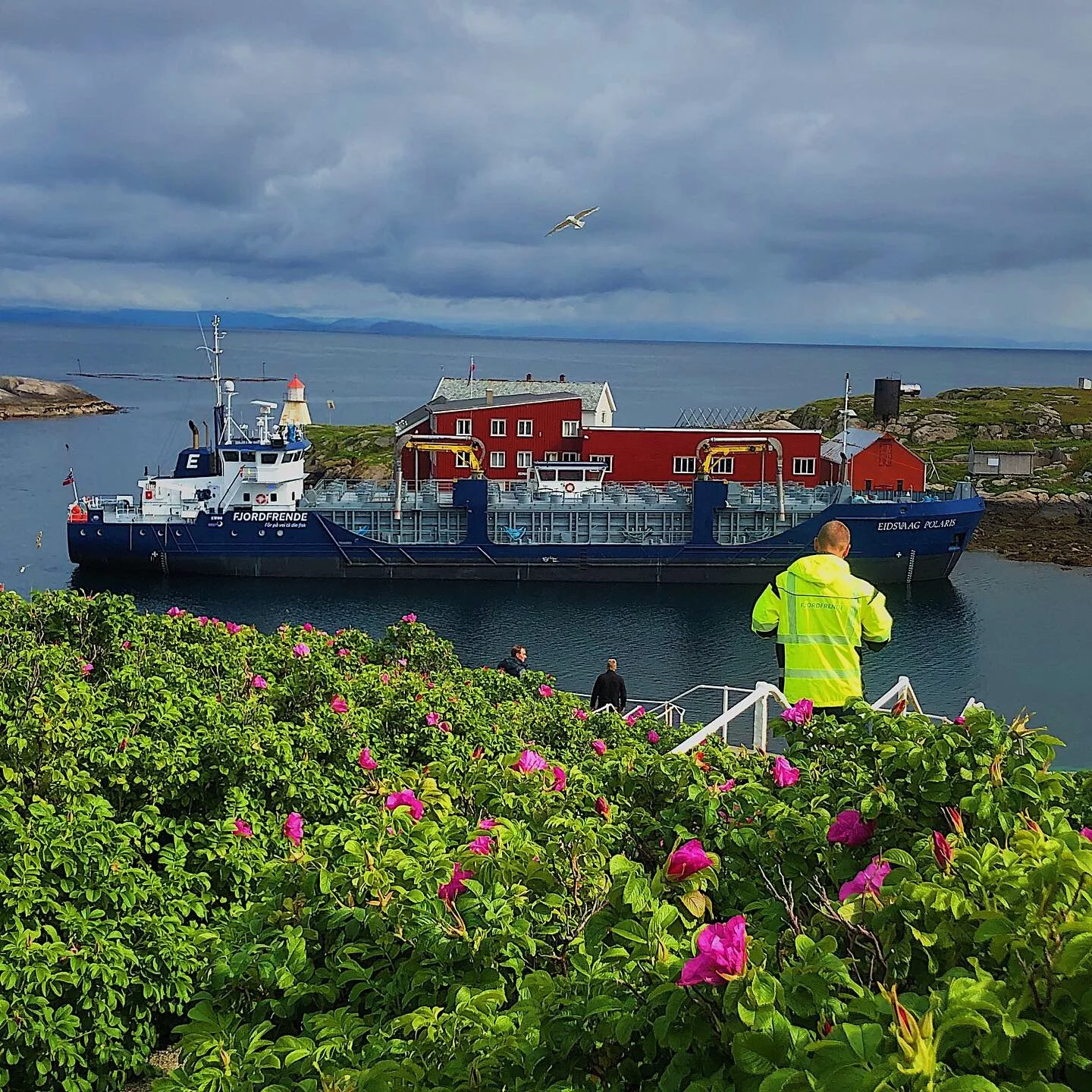C7F00E4B-F697-4D72-B764-43BA9FCF4A83 Eidsvaag Polaris bilder Eidsvaag Polaris bilder.jpeg
