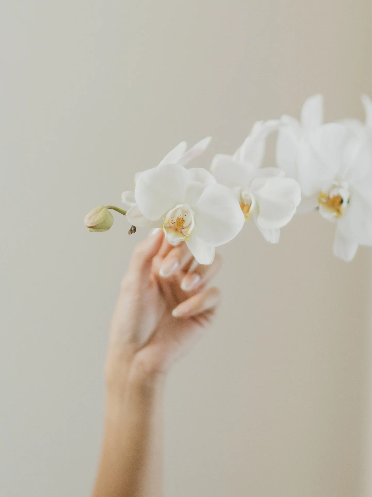 Danica in her @franko.barrio gown ❤️&zwj;🔥