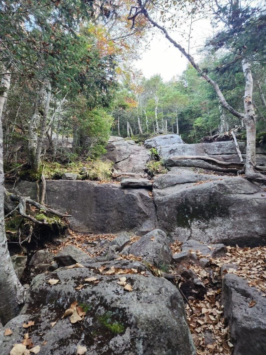 Hike #3:STREET &amp; NYE