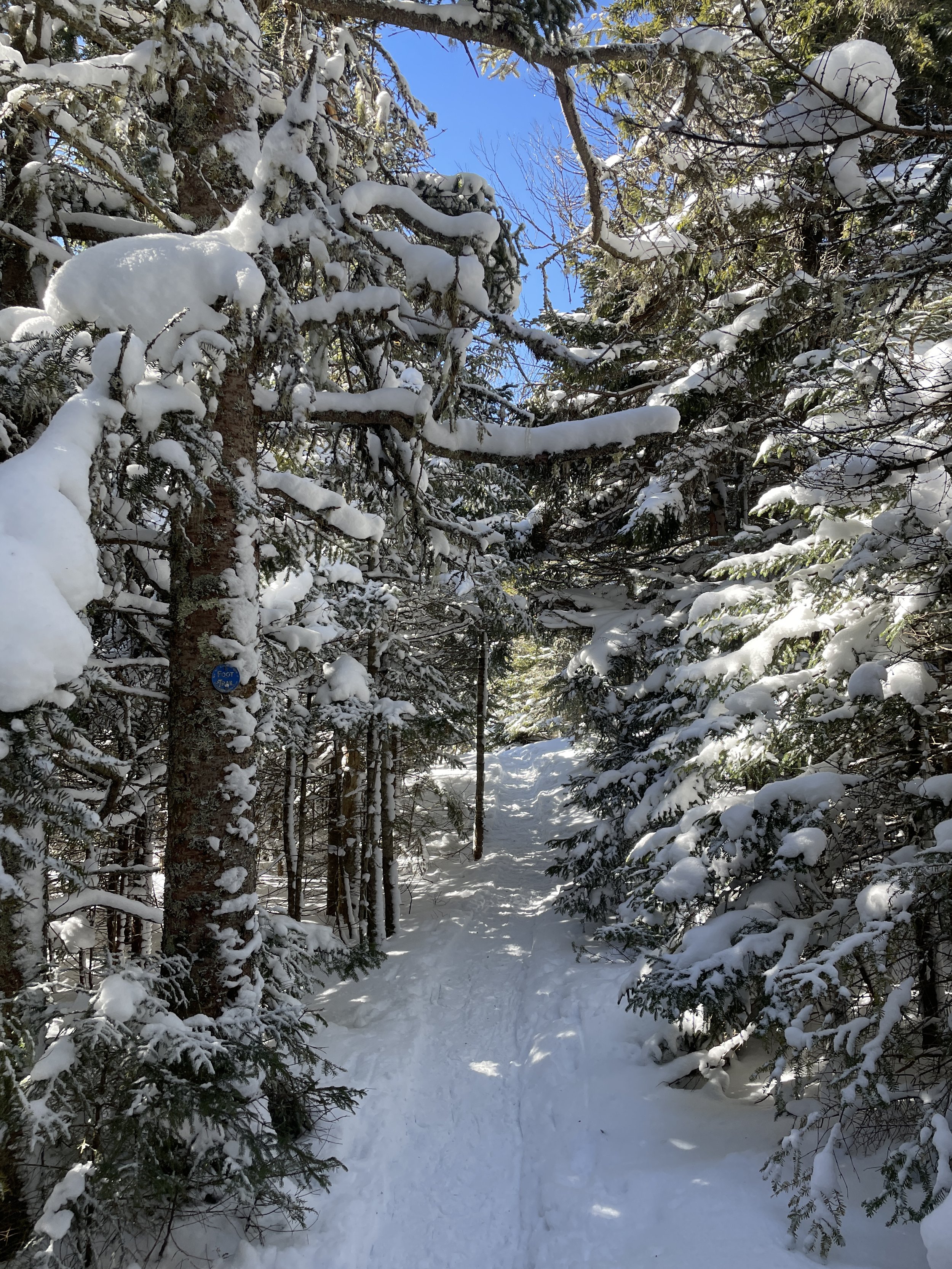 Winter Hiking Tips