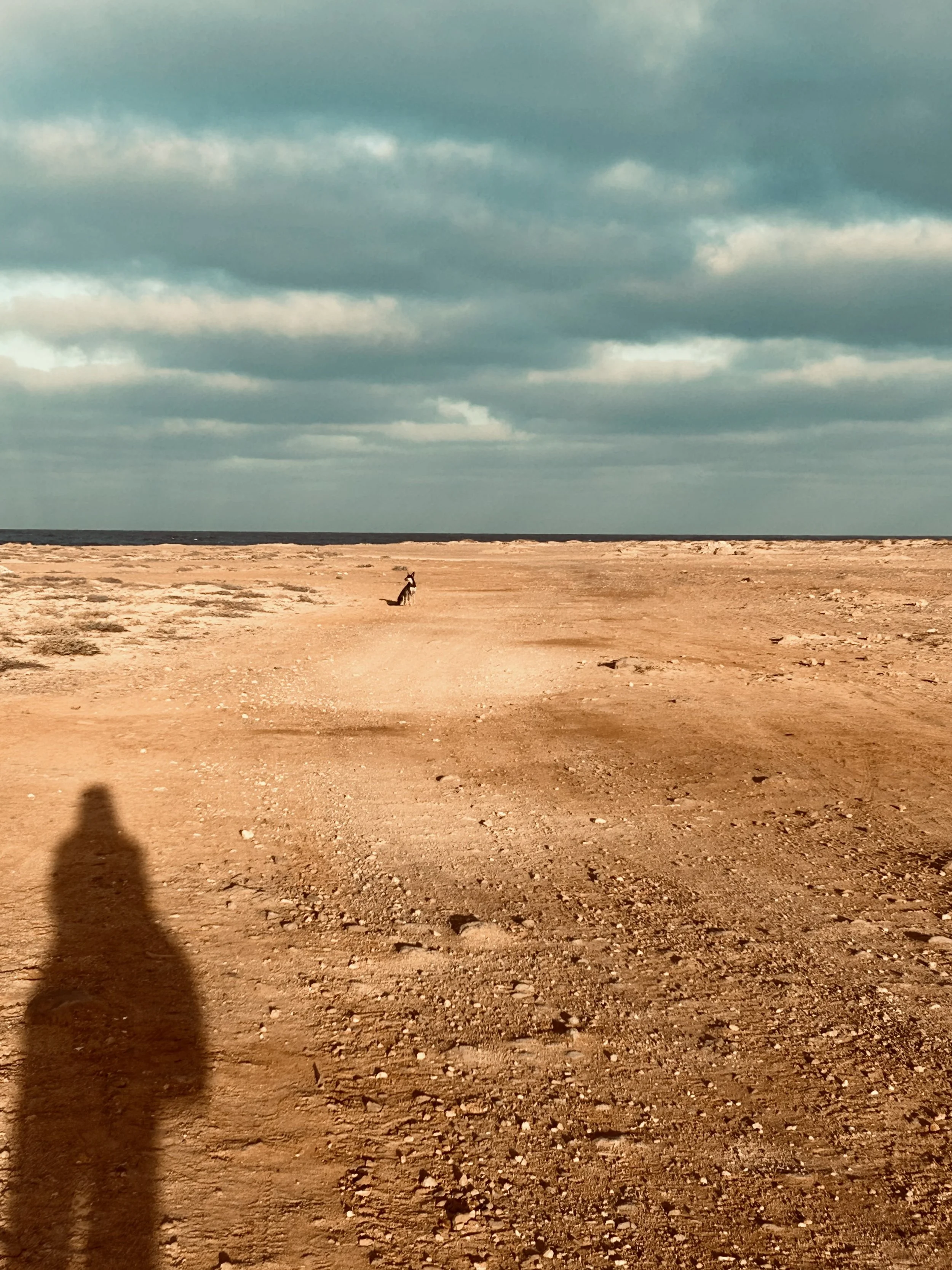 A barren, rocky desert landscape with a cloudy sky and a dog in the distance.  A human shadow is visible in the lower left corner.
