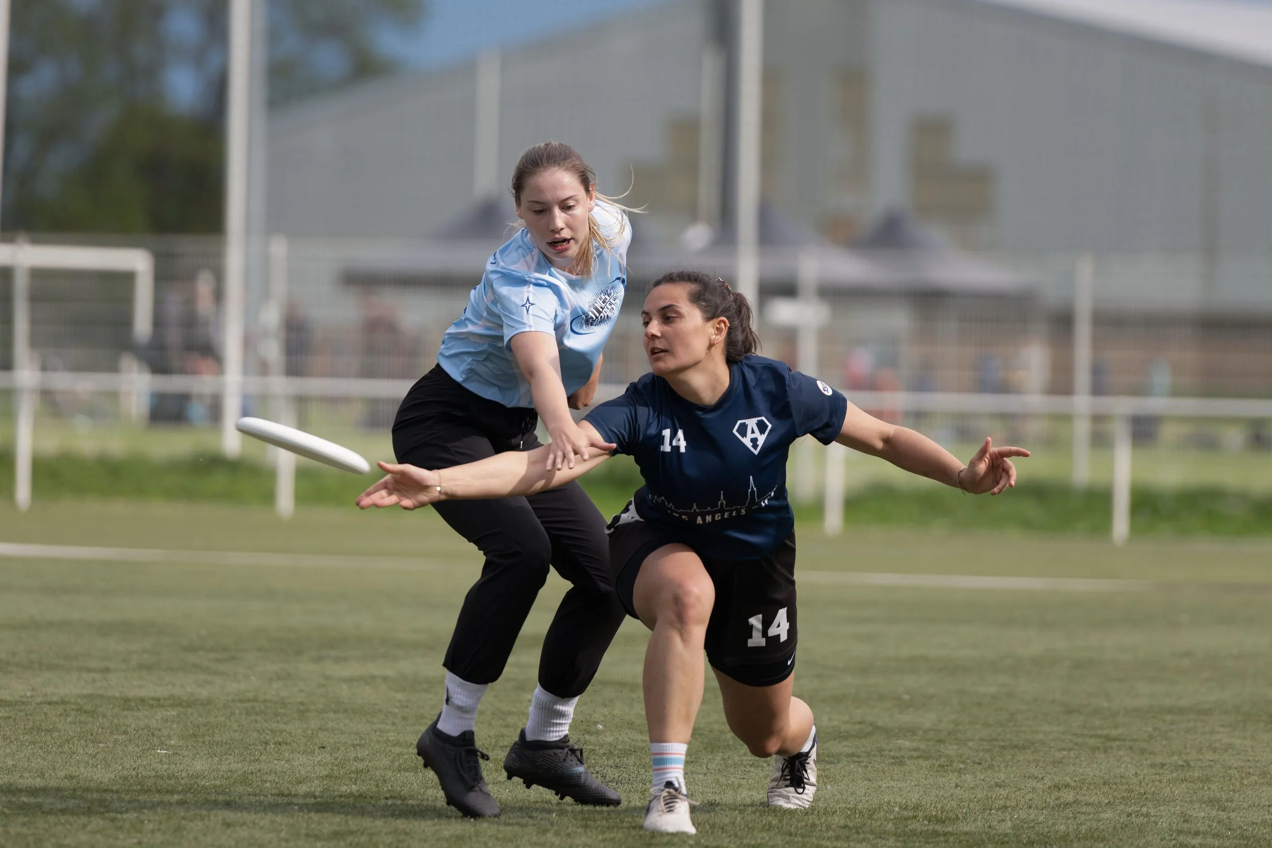 Spring Tour #1 - Preview