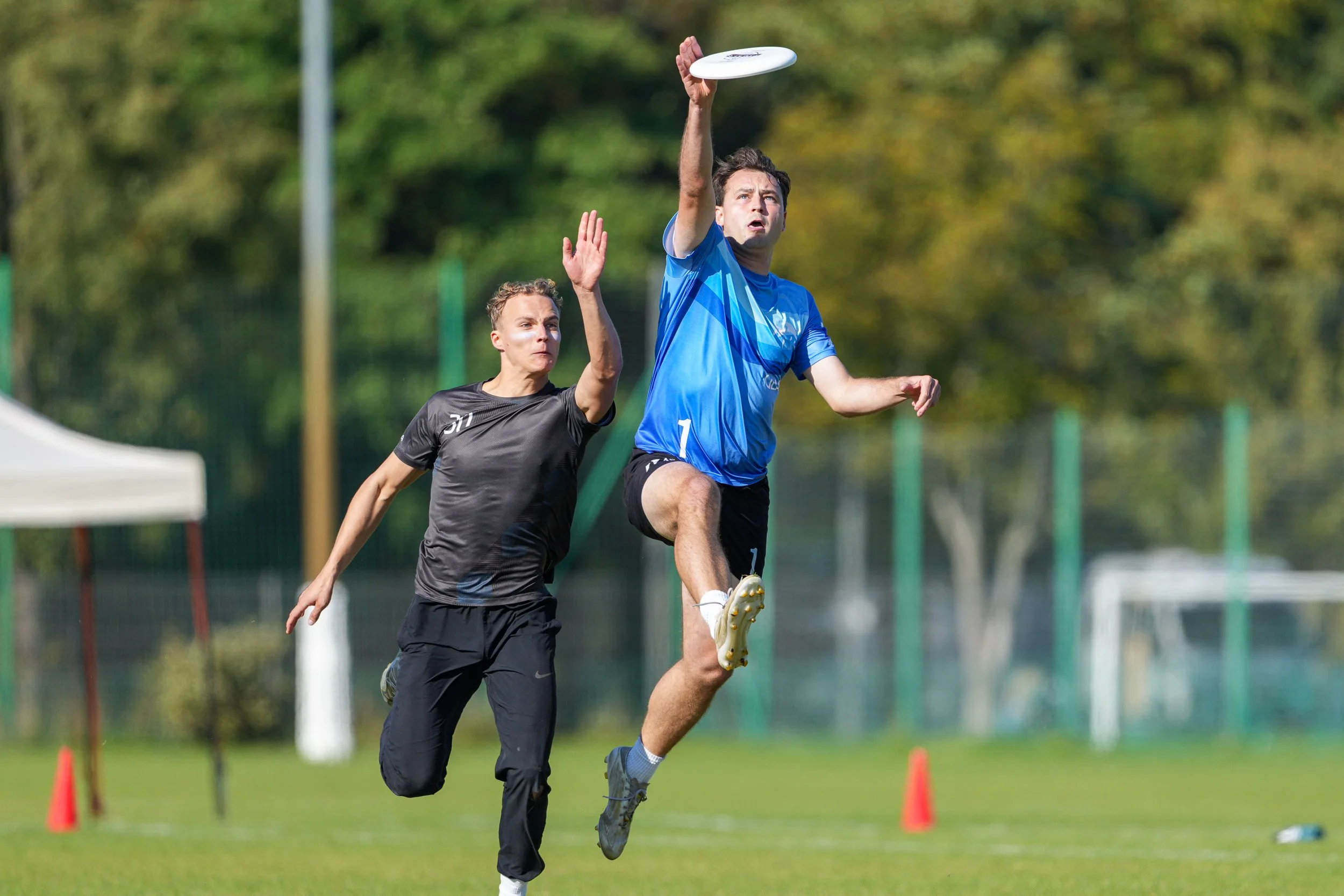 Spring Tour #2 - Review