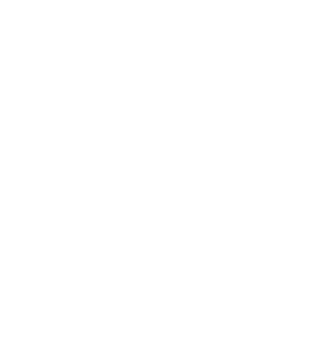 TSF Logo