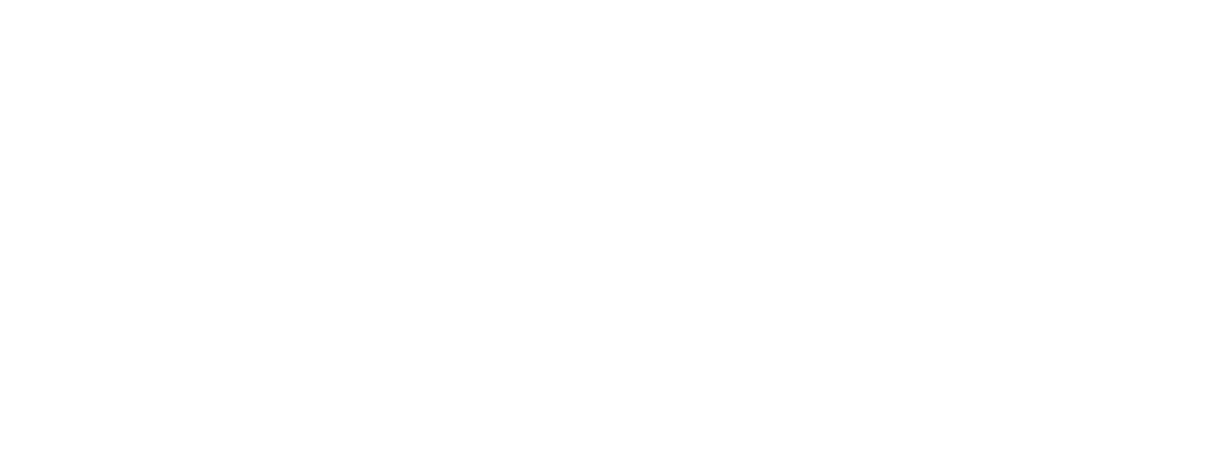 TSF Logo Horizontal