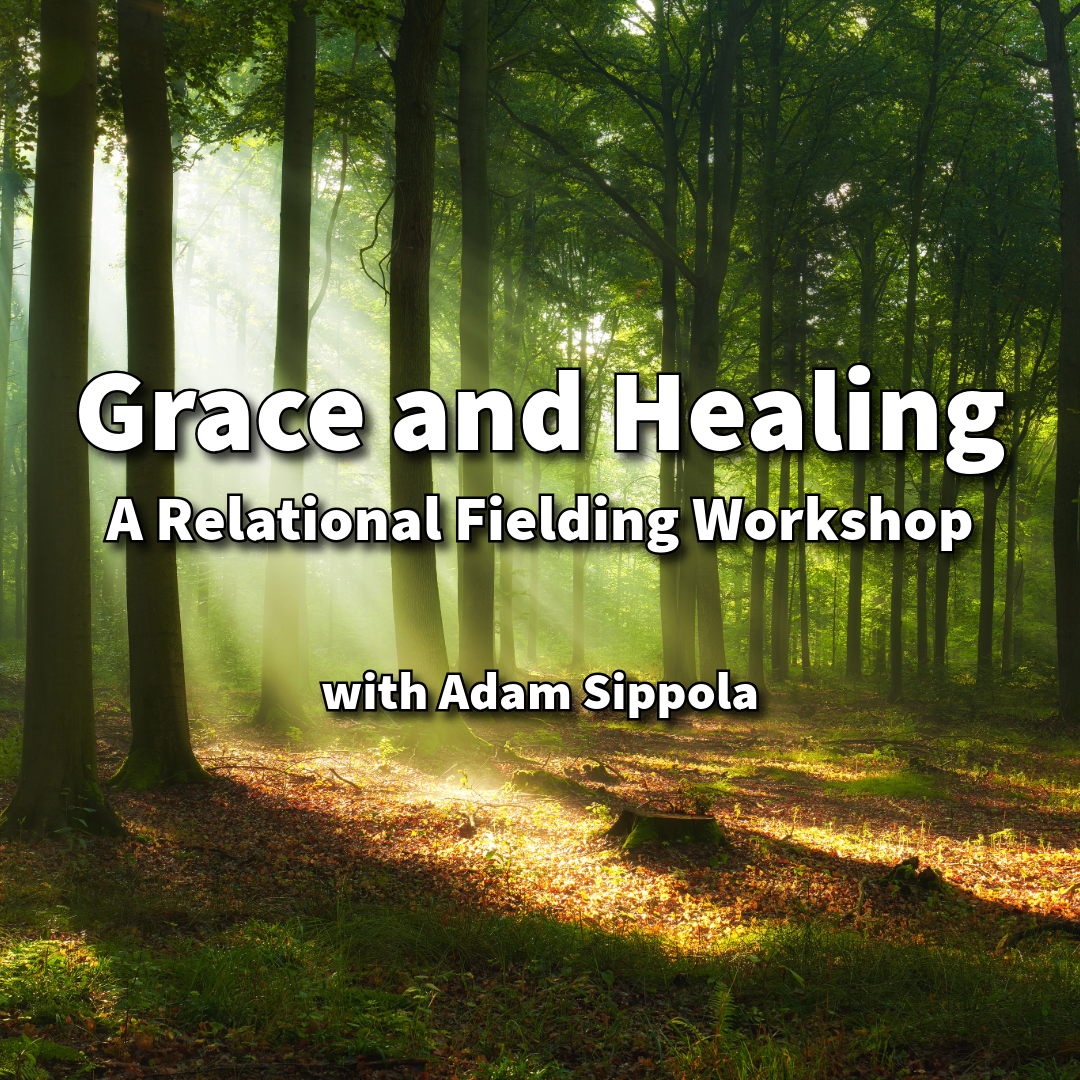 Grace and Healing: A Relational Fielding Workshop