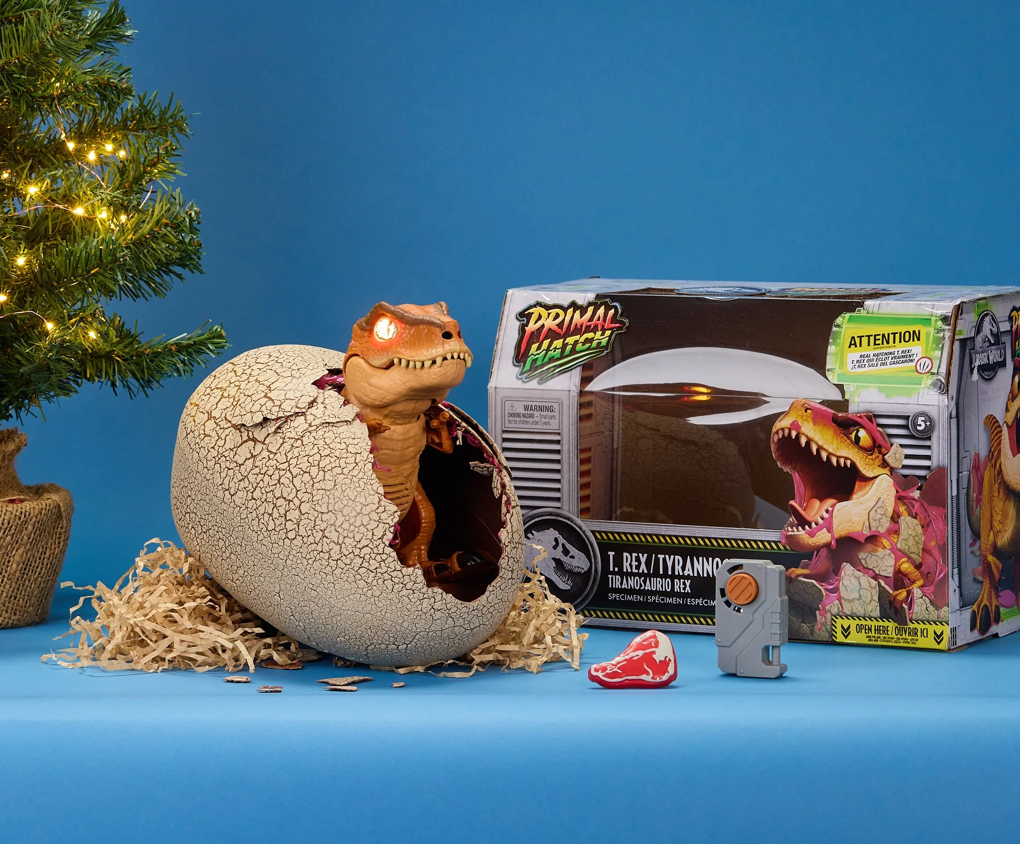 Entertainer Christmas 26 PR 009.jpg