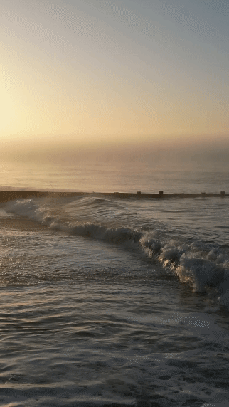 brand video content.gif