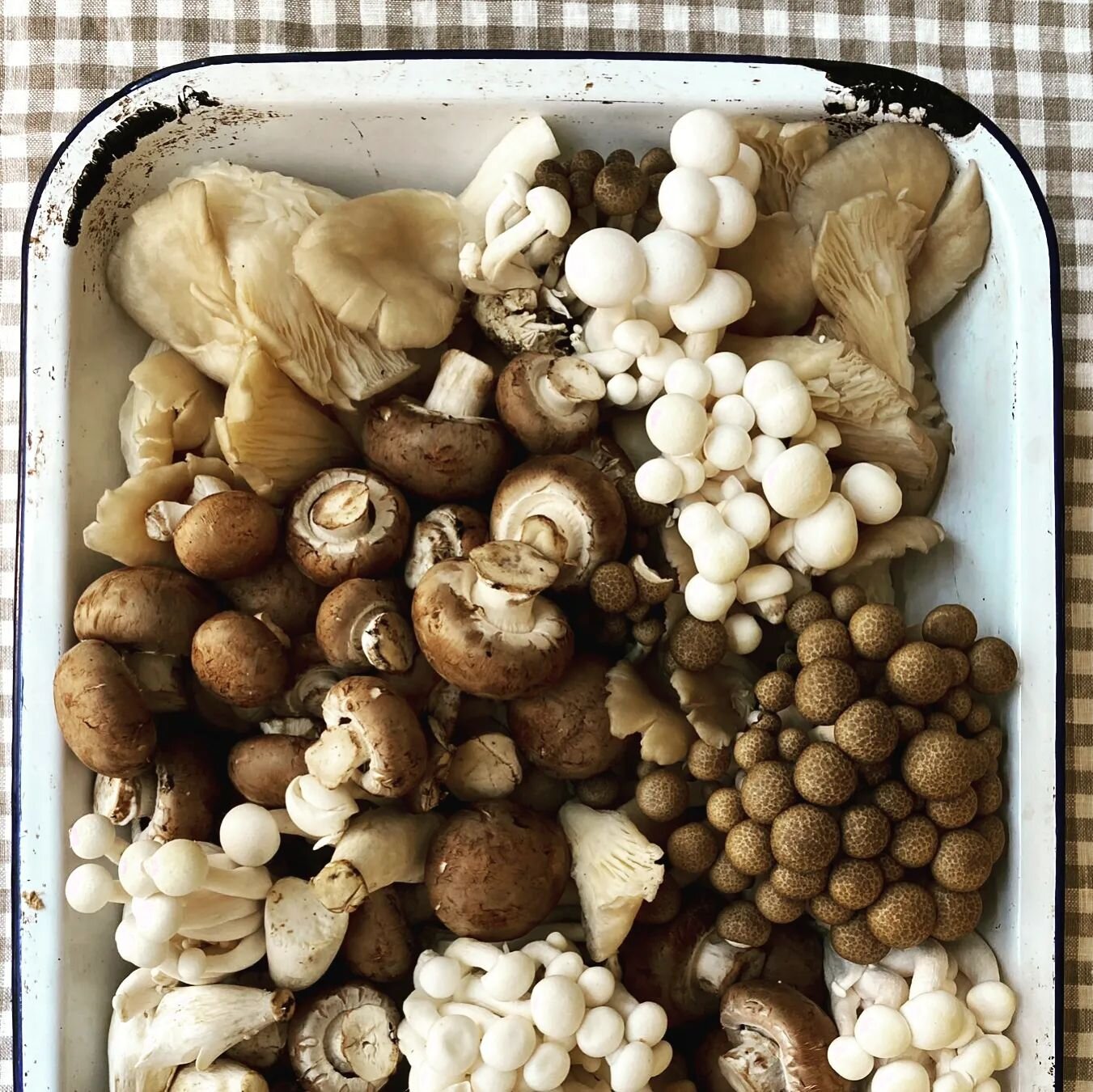 Who else is feeling 'autumny' today? 🍂 

Lovely fresh wild mushies soon to be given some love for our mushroom dish 🍄 

Or add an egg and some streaky bacon if you're after a bigger breakfast 😊

#mushrooms #wildmushrooms #breakfast #brunch #cafewy
