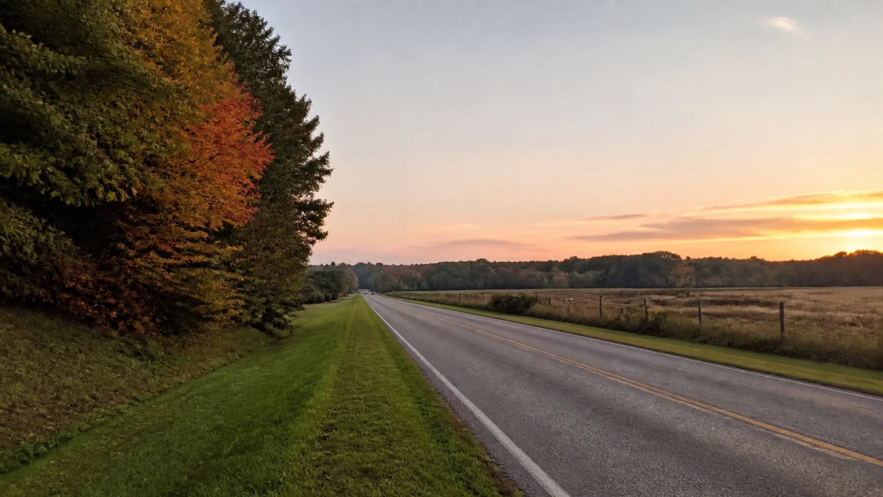 Central Ohio road near wooded deer habitat at low light