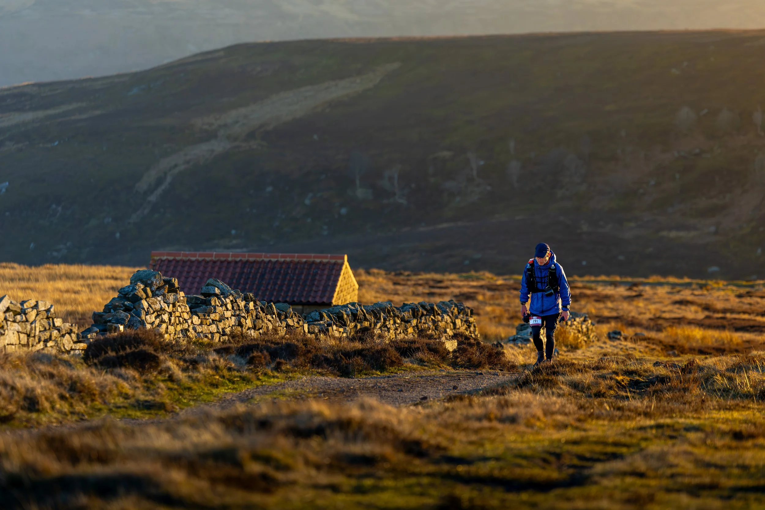 The light dappling across the National Park