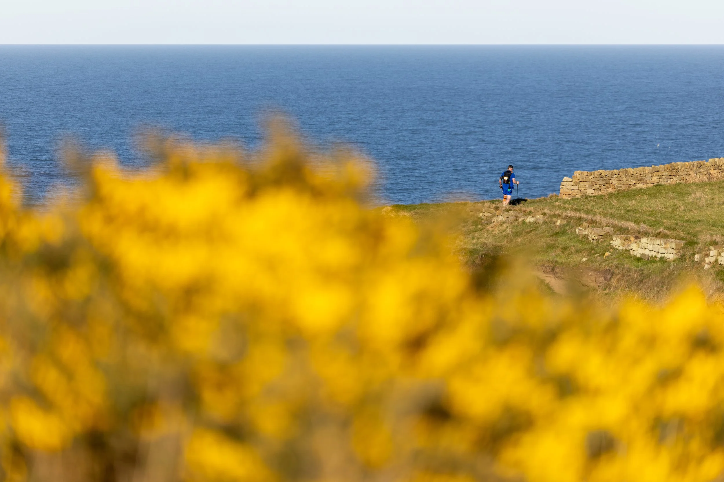 A person in blue hiking gear walking along a grassy cliffside overlooking the ocean, with yellow flowers in the foreground.
