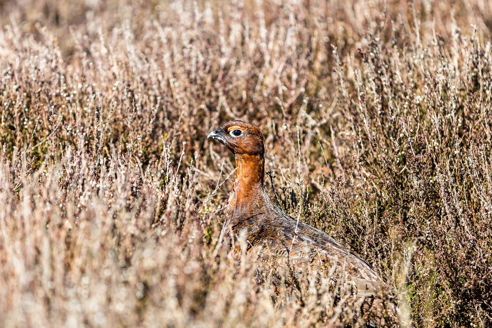 You're never alone on the trails 