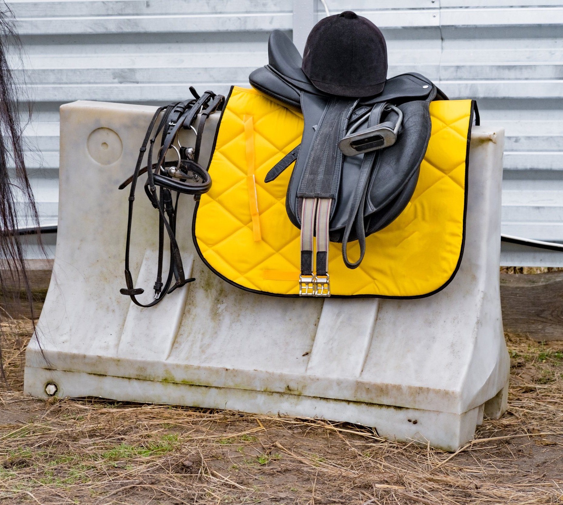 chair-mount-horse-protective-helmet-other-equitation-preparing-horse-competition-riders.jpg