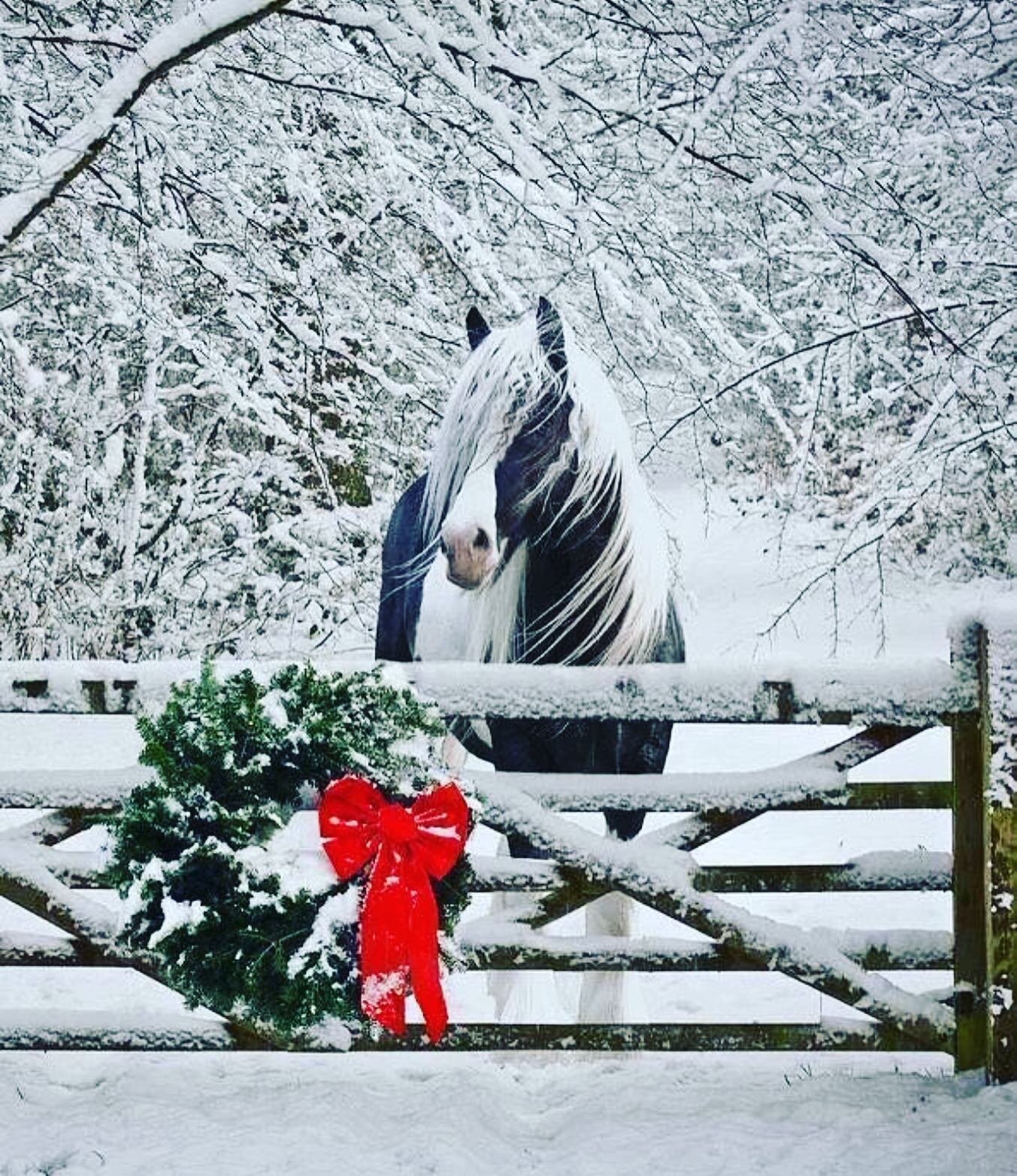 ❤️🎅🏻All The Team here at 𝐑𝐡𝐢𝐧𝐞𝐬𝐭𝐨𝐧𝐞 𝐂𝐨𝐮𝐧𝐭𝐫𝐲 𝐂𝐥𝐨𝐭𝐡𝐢𝐧𝐠 would like to wish you all a Fabulous Festive Christmas 🎅🏻❤️ Thank you to all our Lovely Customers and friends for your continued support and shopping Local . 
Our open