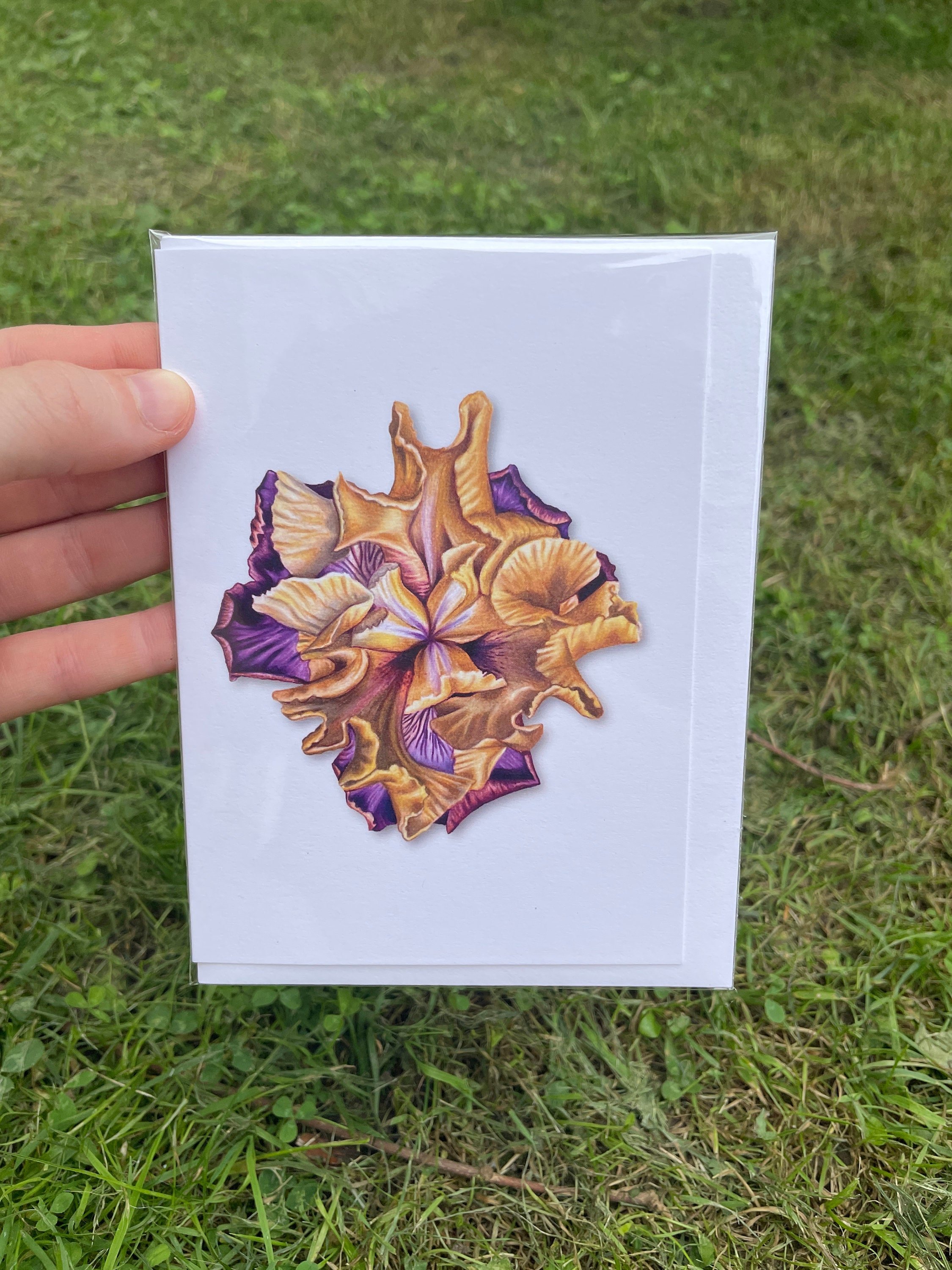 https://i.etsystatic.com/37521643/r/il/0db0aa/5144348741/il_fullxfull.5144348741_7hg4.jpg