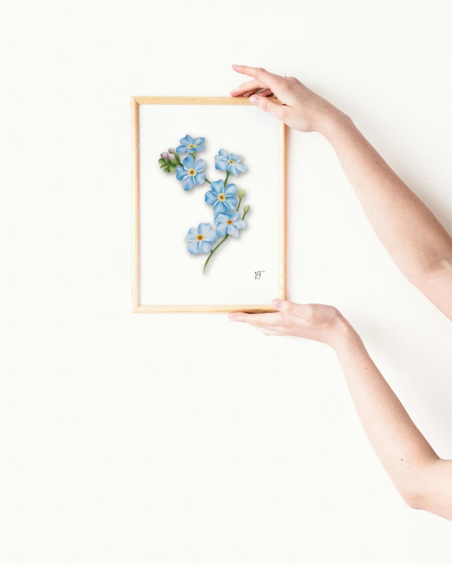 Third flower: Forget-Me-Nots
*
Today&rsquo;s the day! Some important things I want to mention about this website drop&hellip;
✨The three featured flowers will all be found on @savkaclay website, we wanted to make shopping easy for you and do one stop