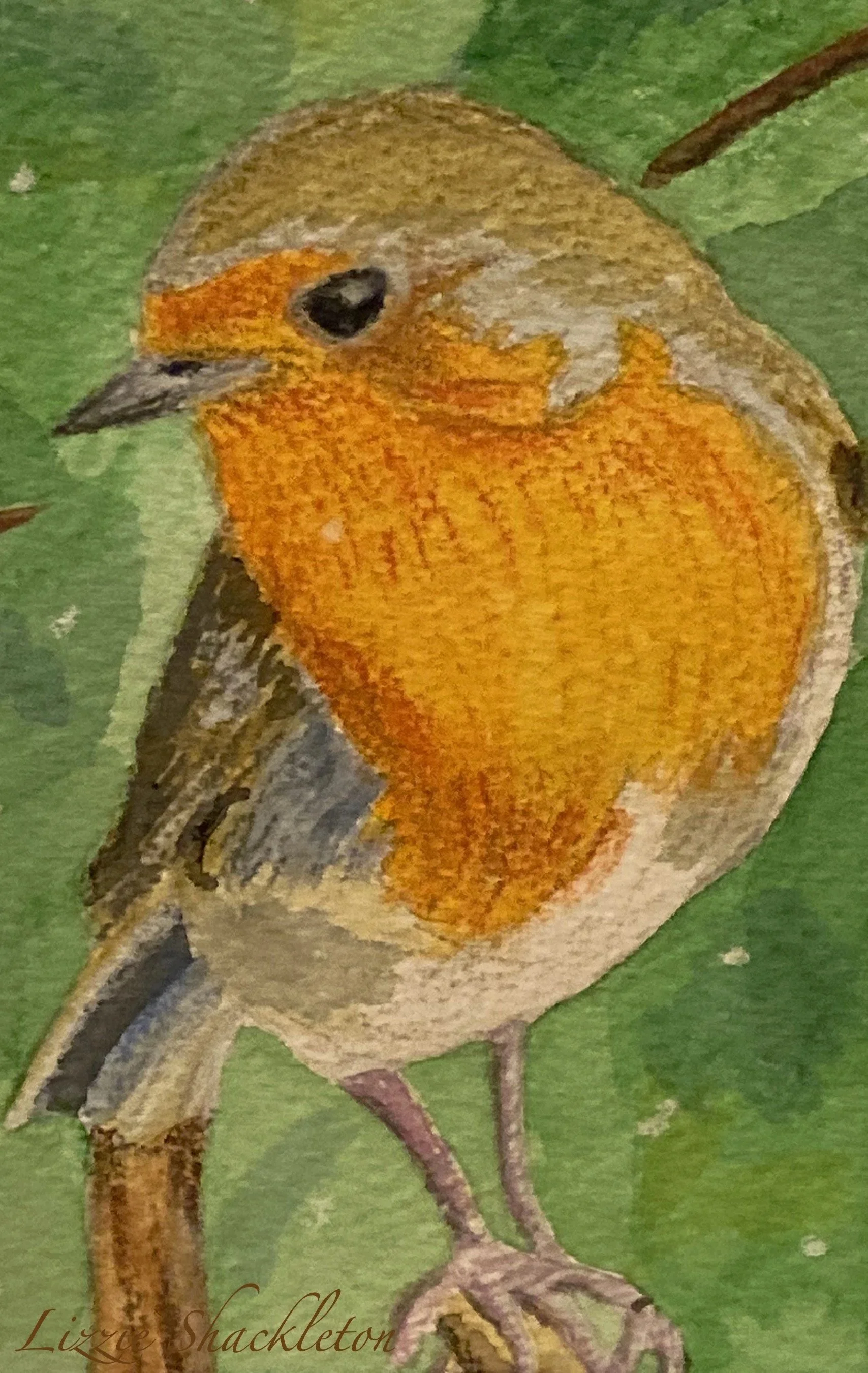 'Friendly Robin' Watercolour & pastel 2024.  Gifted as a card