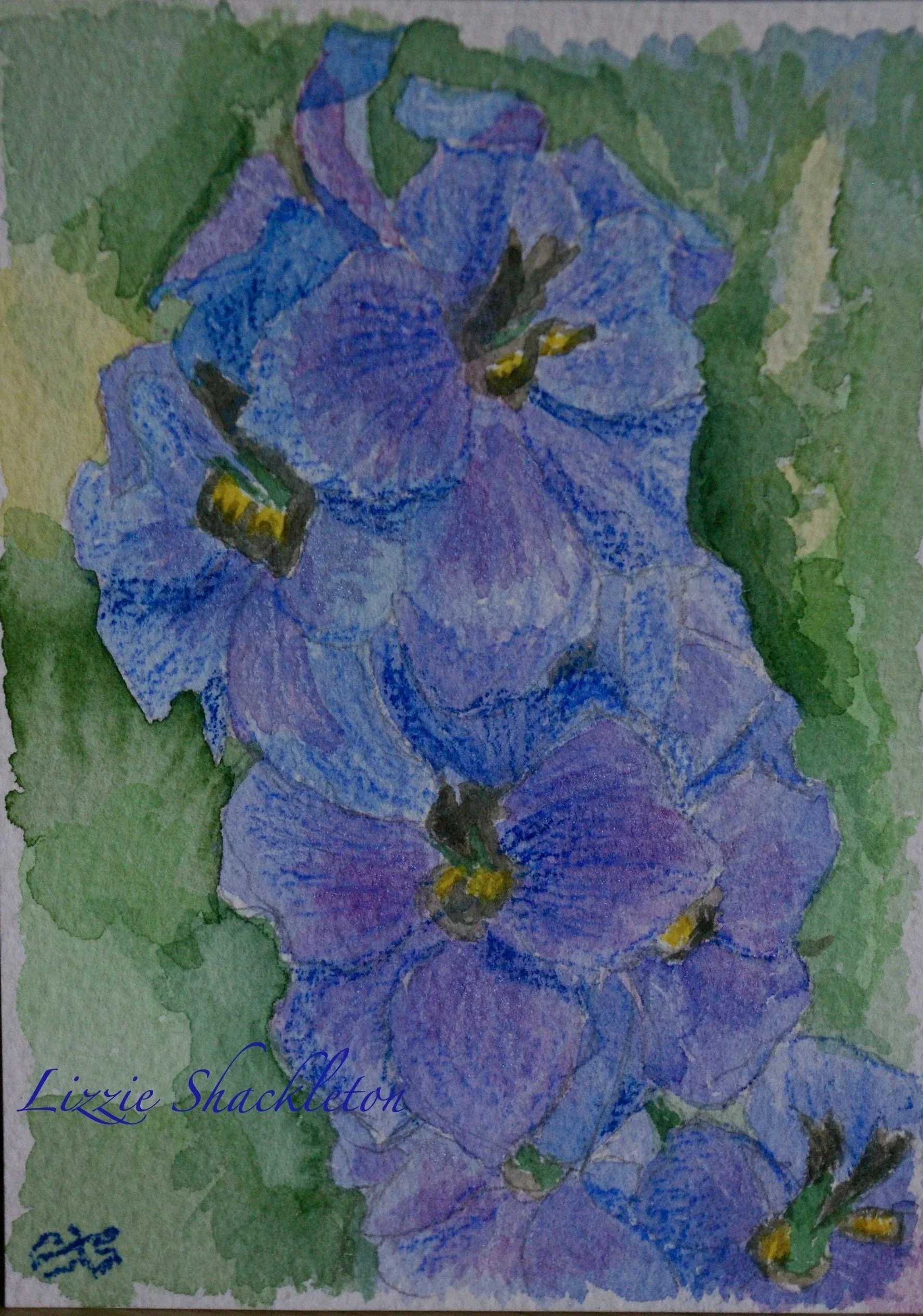 'Delphiniums' watercolour & pastel 2026. Gifted as a card.
