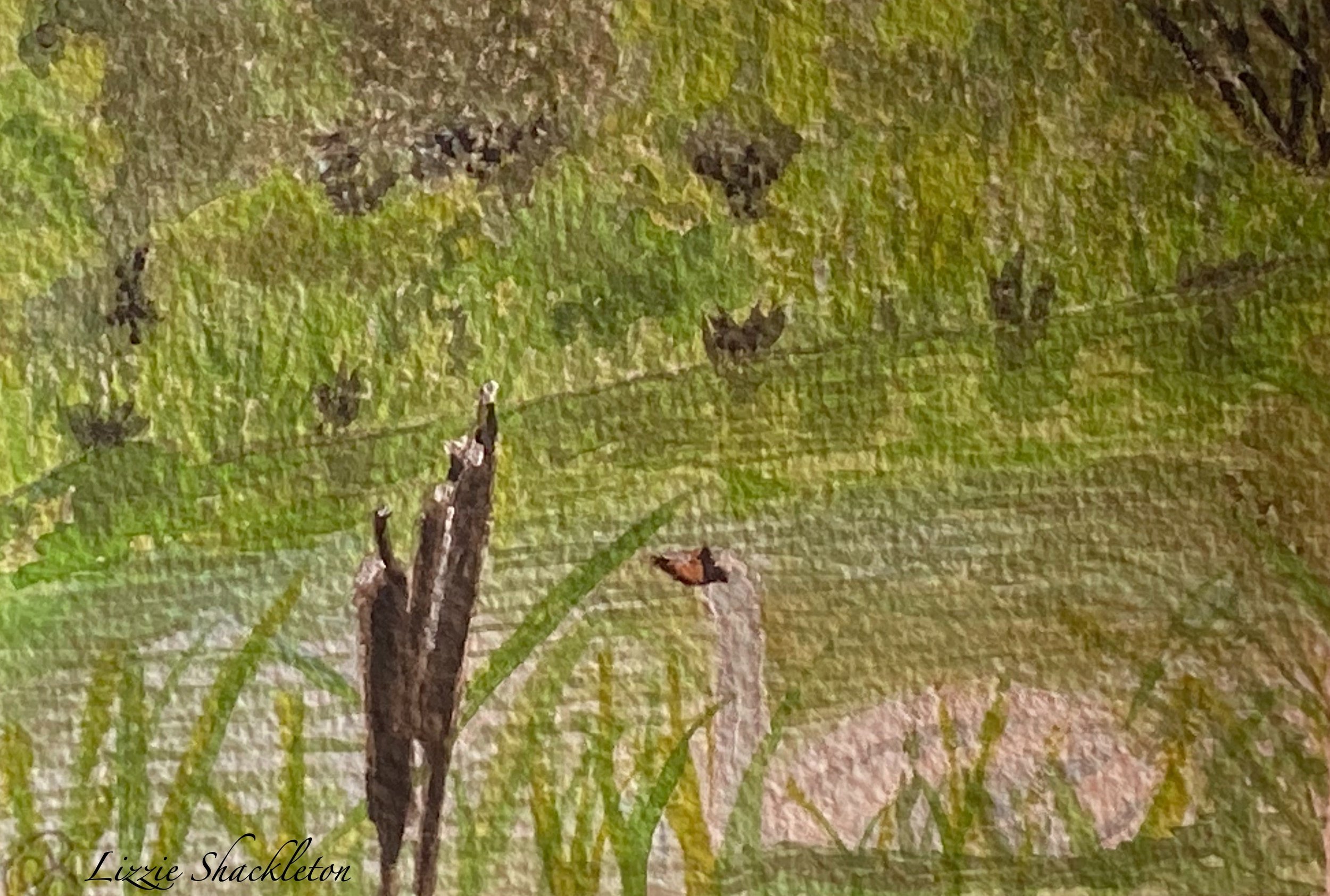 'Swan on the River Lambourn' watercolour & pastel 2024. Gifted as a card.