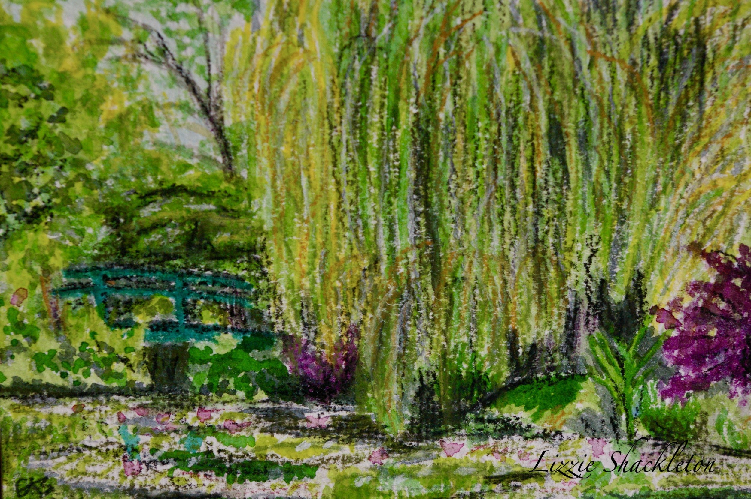 'Willow at Giverny' watercolour & pastel 2025.  Gifted as a card.