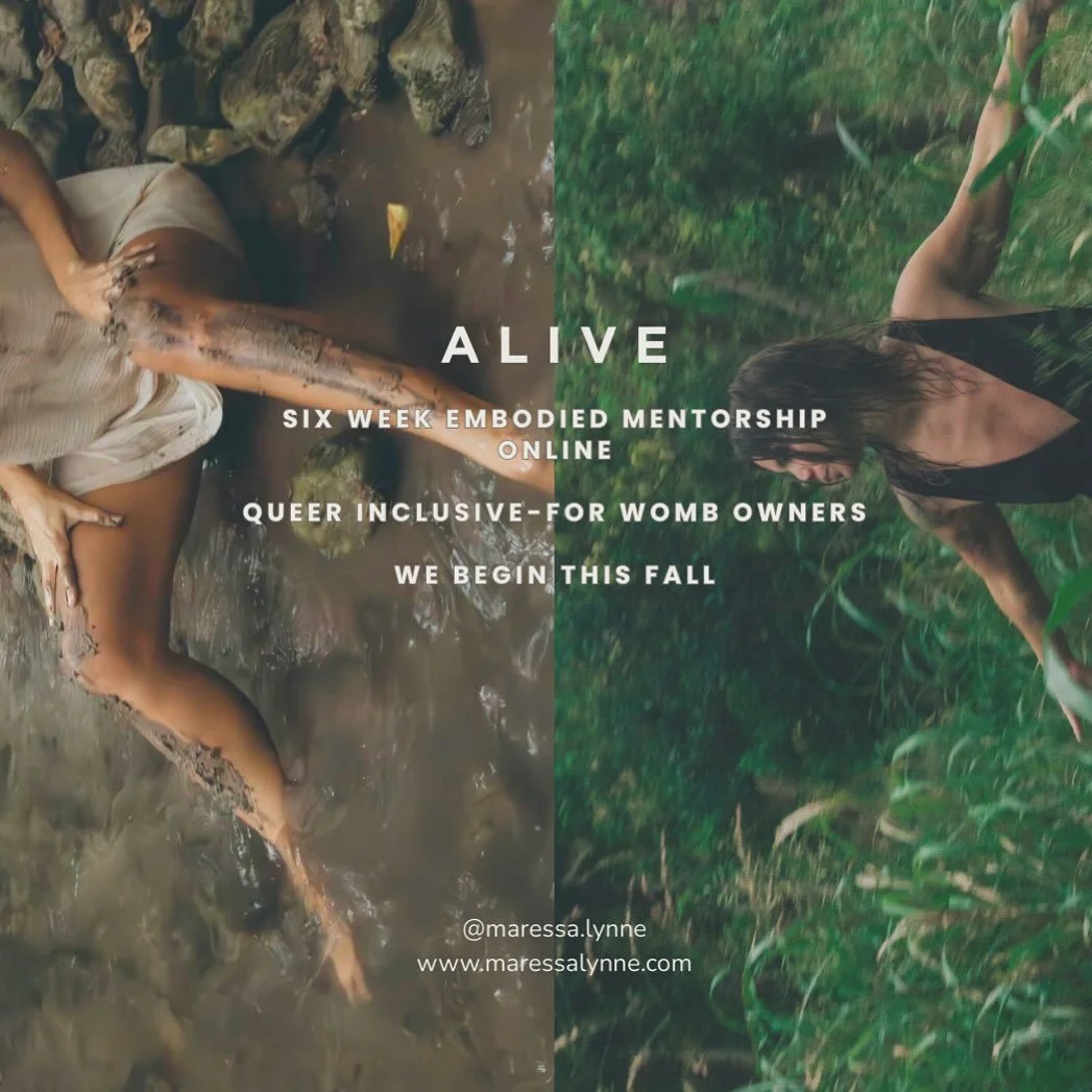 In ALIVE, we welcome all expressions of the womb body. Whether you bleed or don&rsquo;t, whether you&rsquo;re soft or sharp, whether you&rsquo;re masked, fluid, or unnamable&mdash;you are welcome.

This work meets you beyond identity&mdash;at the lev