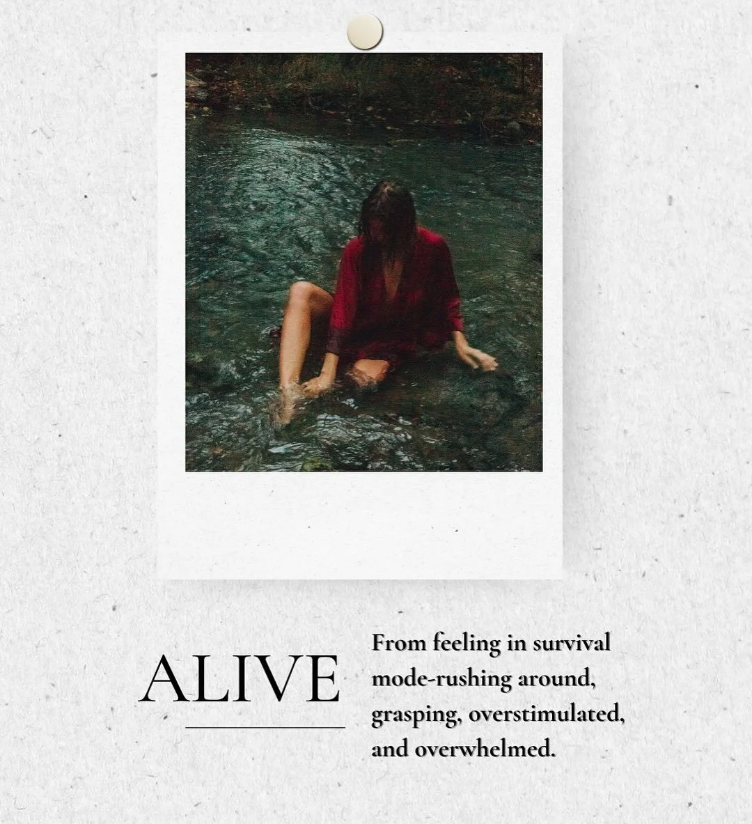 DM &ldquo;ALIVE&rdquo; for more info.

We begin this fall.
🔥