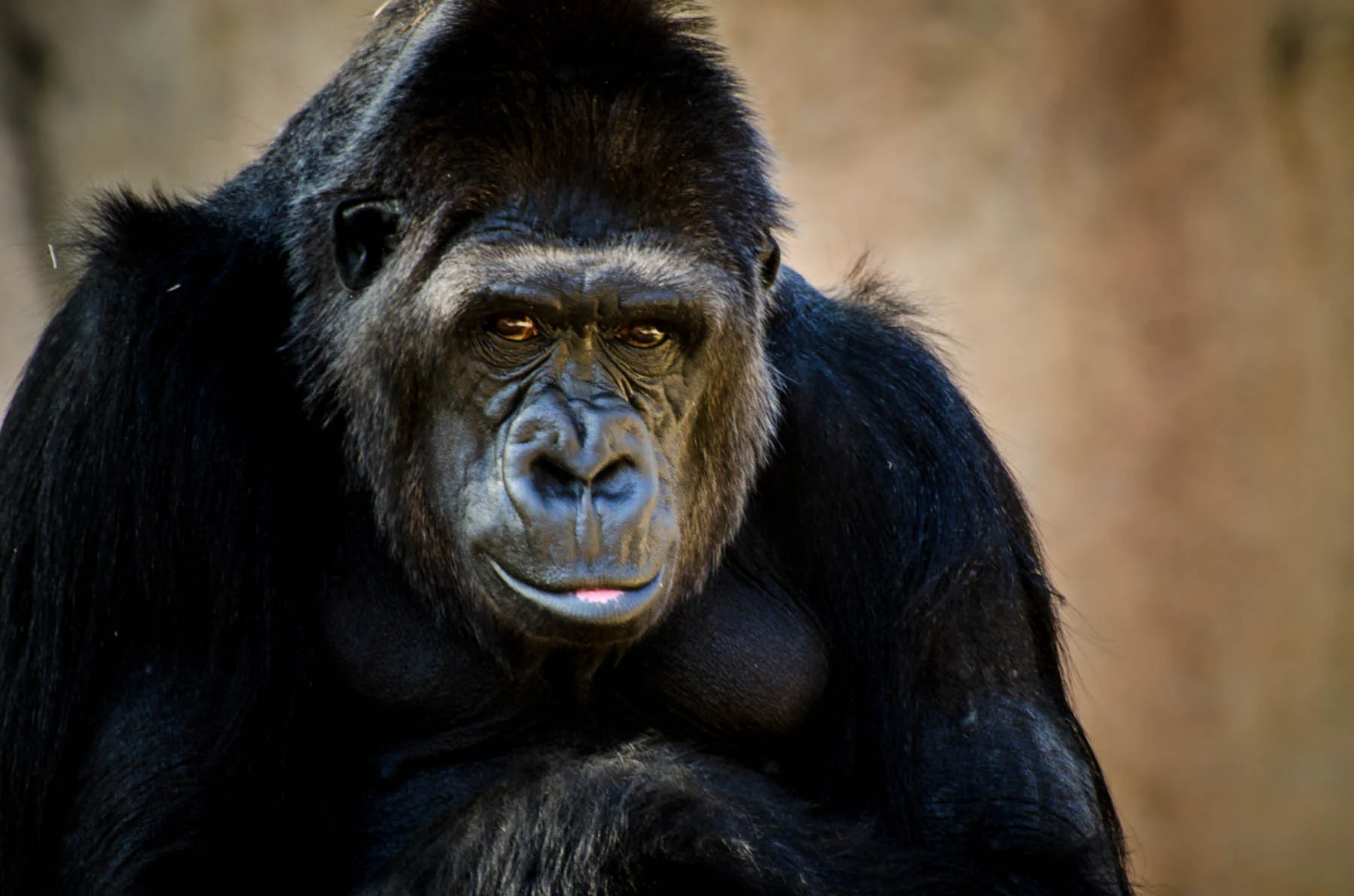 20140329_ft_worth_zoo_0361-2.jpg