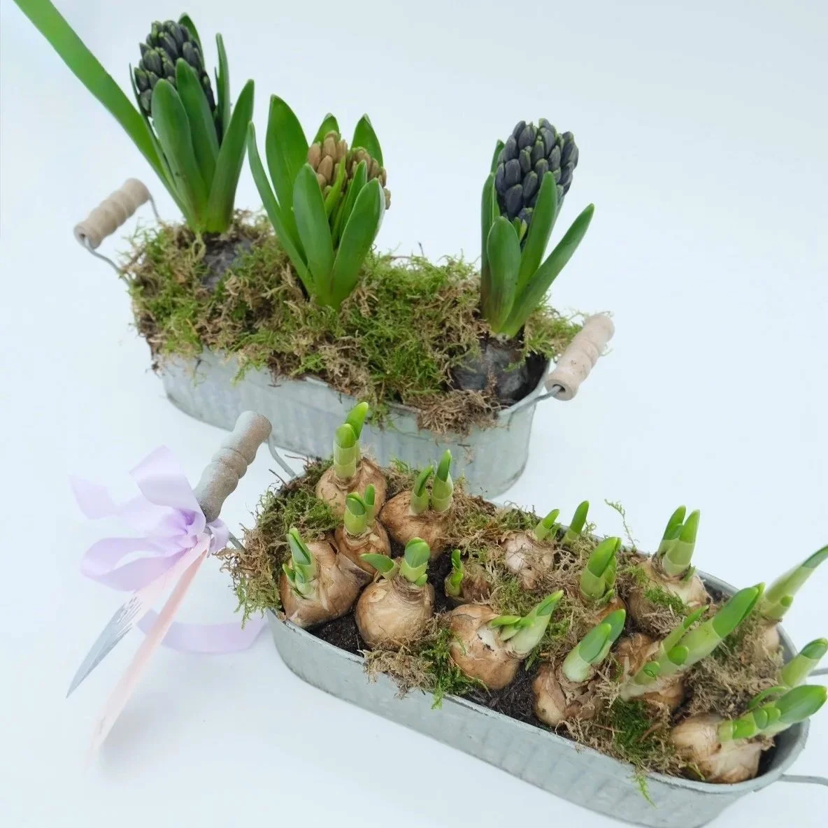 Spring-bulb-planters-with-hyacinths-and-narcissus-in-rustic-vessles-in-bloom-studio-flowers.jpg