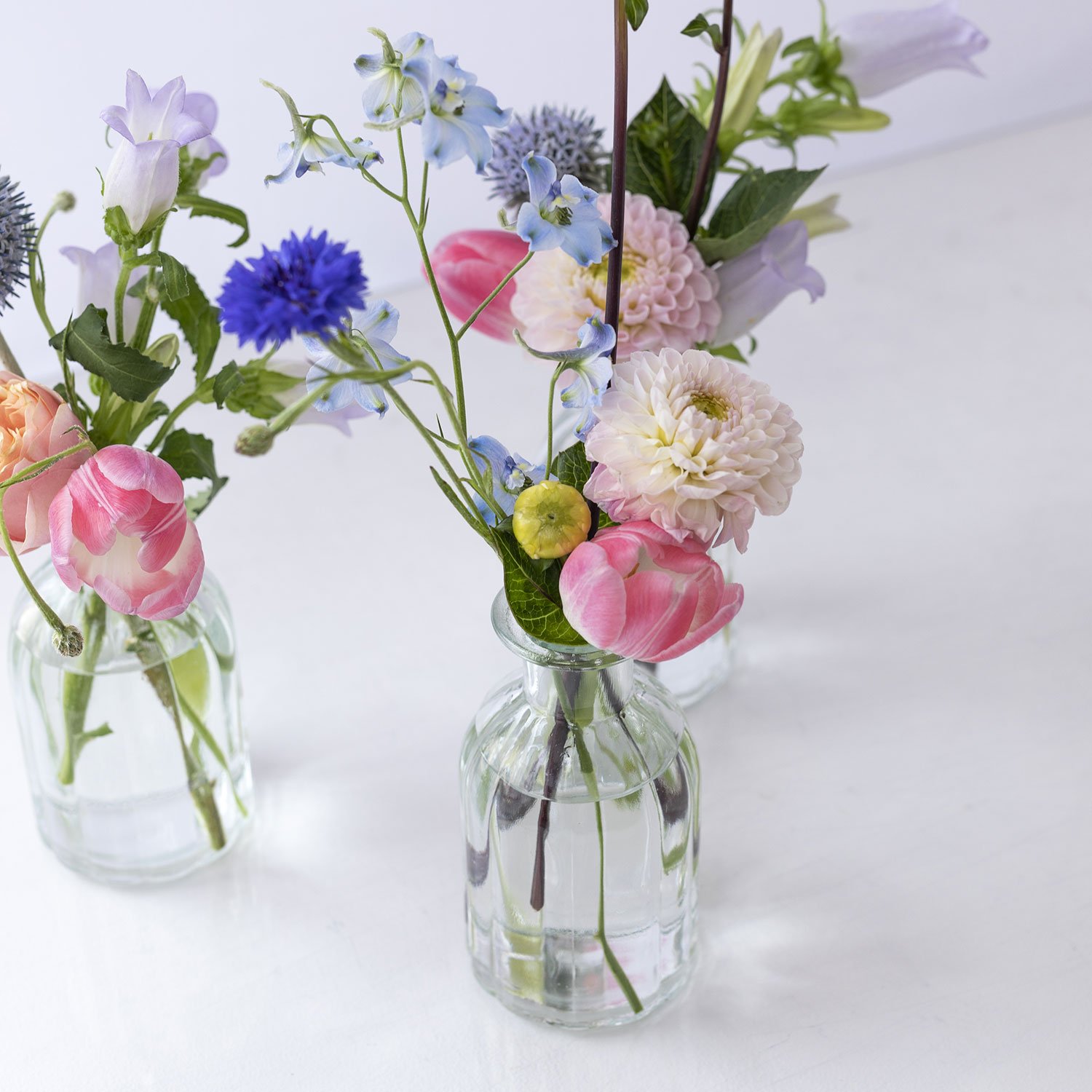 In Bloom Coloured Bud Vases — Set of Three — in bloom studio