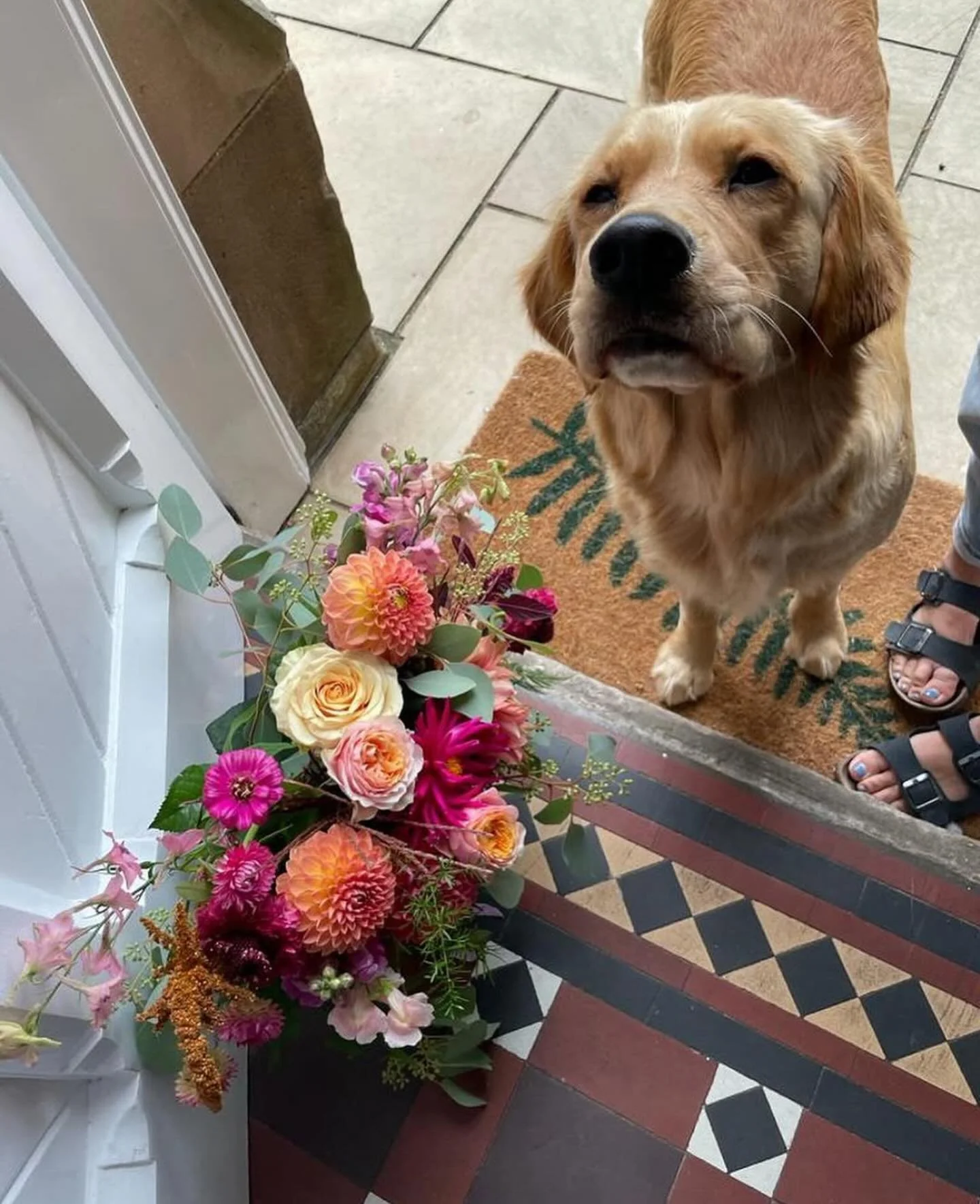 🍂 Autumn Blooms 🍂 

Although our store is now closed and we are busy preparing our new boutique in Longniddry, its business as usual here @inbloom.studio.flowers 

You can still order online for local and UK wide delivery or grab us on the phone to