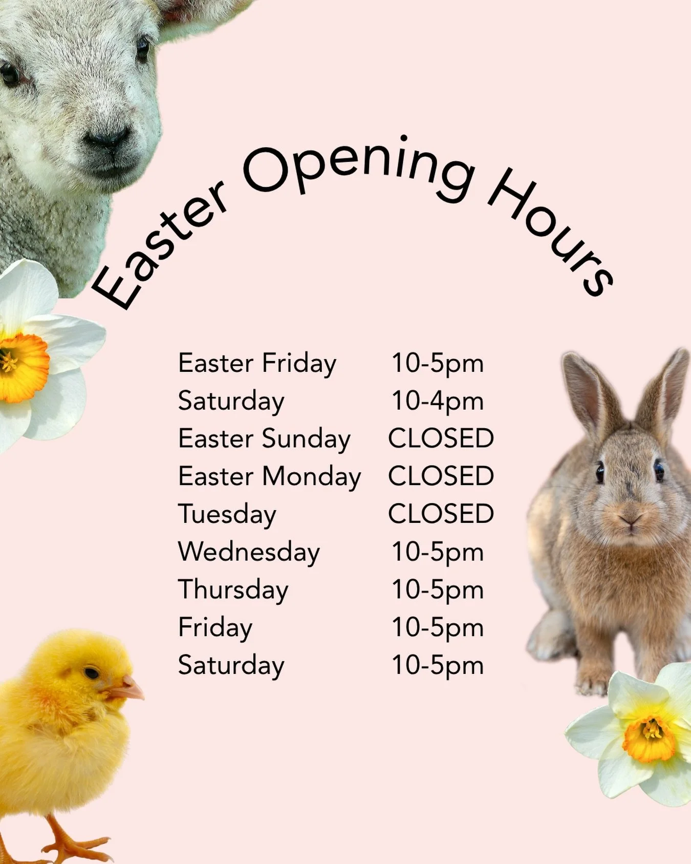 Our wheel house is filled with Easter flowers, decorations, and sweet treats for the weekend! 

You can order online for delivery tomorrow or Saturday or better still pop in to see us at the steading @perkcoffeeshoplongniddry has your coffee stop cov