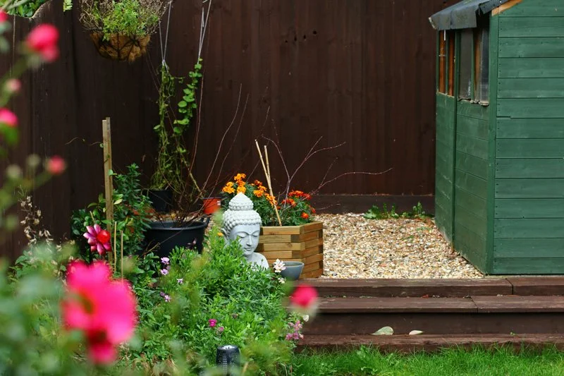 in-bloom-studio-east-lothian-garden-design-planting-consultation.jpg