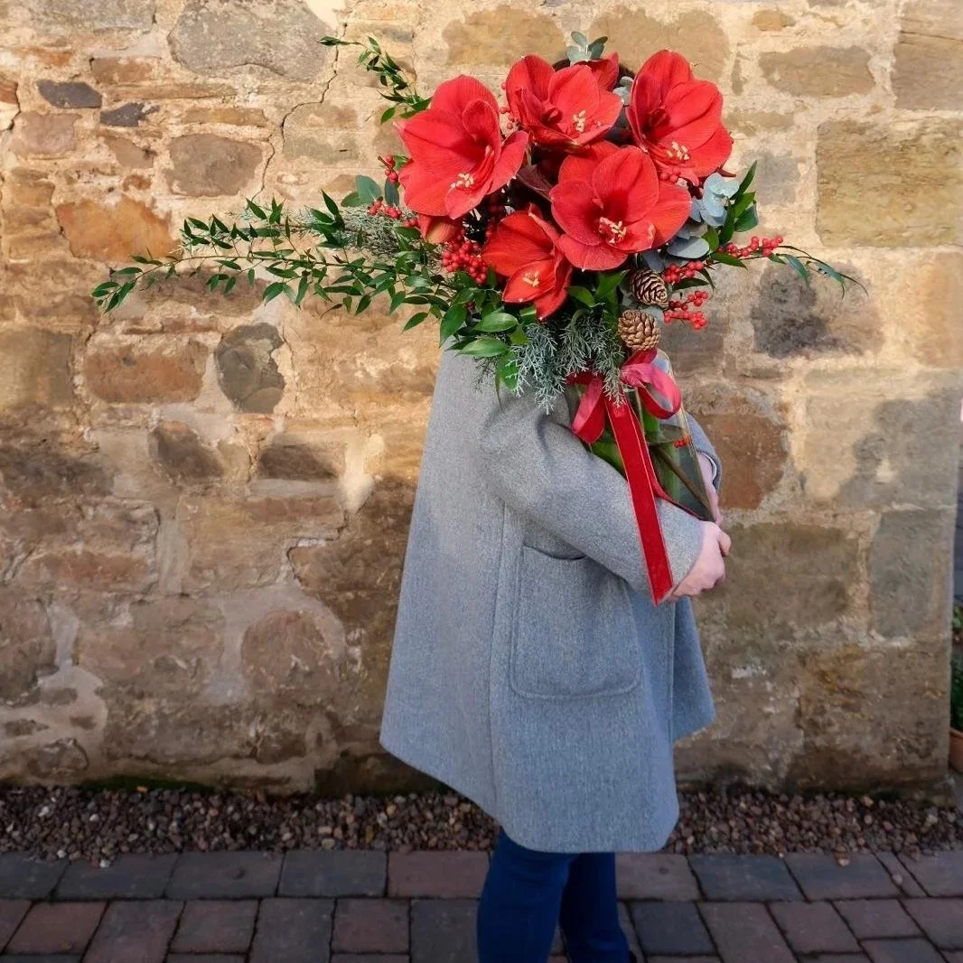 Amaryllis Christmas Vase