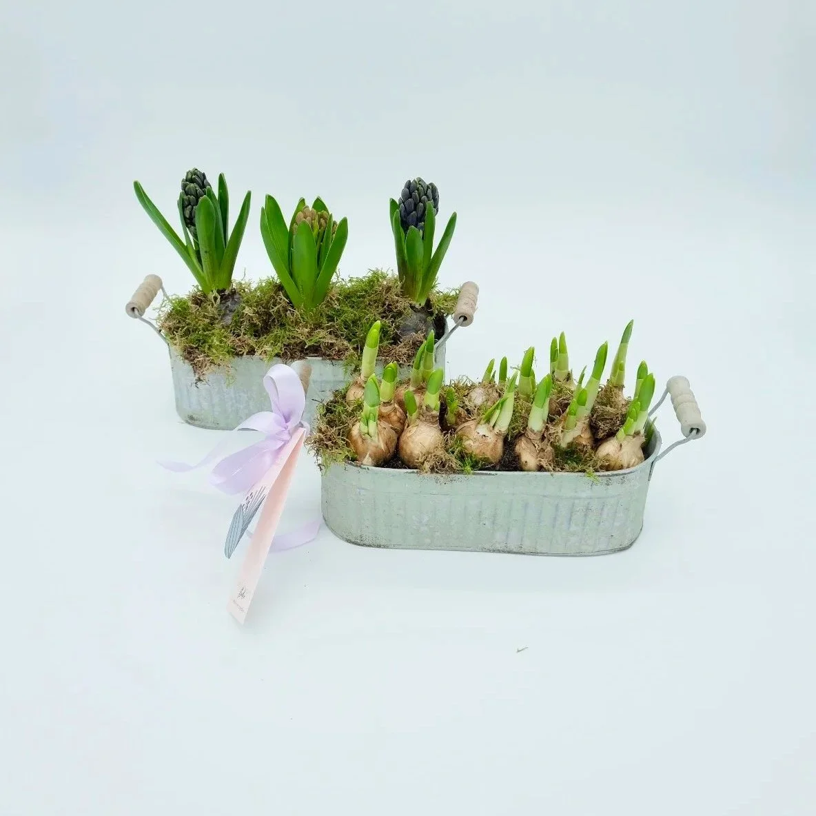 spring-bulb-planters-with-hyacinths-and-narcissus-in-rustic-containers-east-lothian-florist.jpg