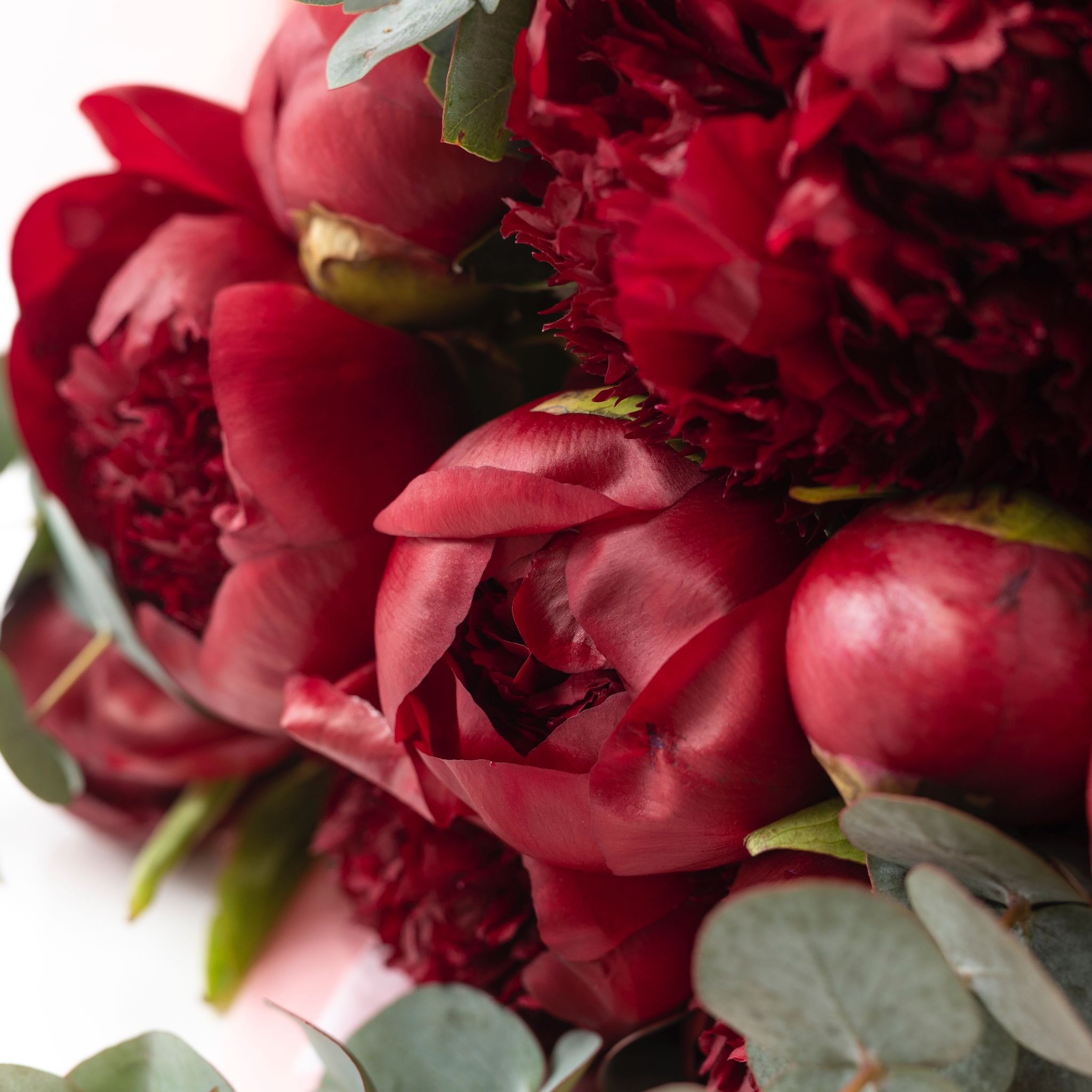 red-charm-peony-bouquet-subscription-delivery-edinburgh-in-bloom-florist.jpeg