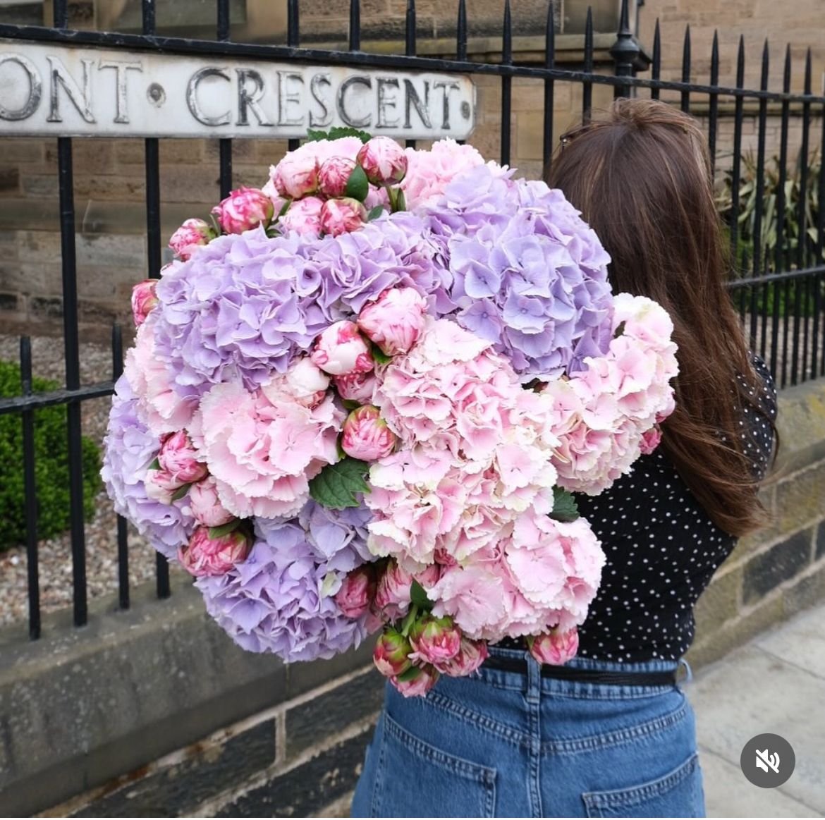 Weekly Bouquet - Hydrangea and Peony Sensation
