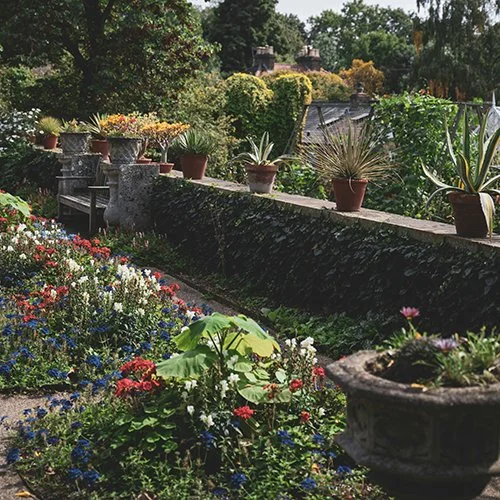 east lothian plant ordering for garden