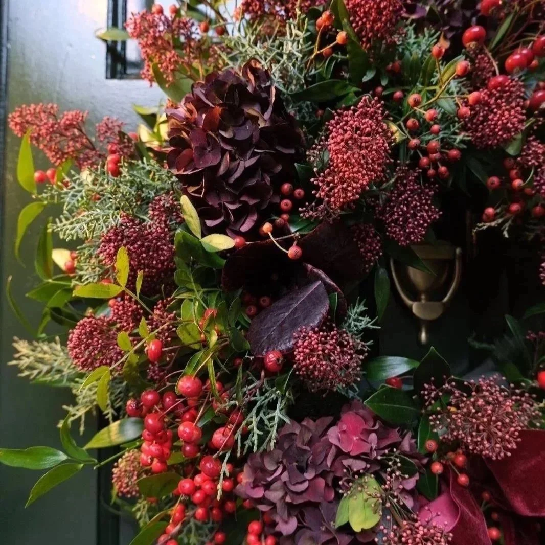 bloomin-very-berry-christmas-wreath-with-berries-skimia-and-hydrangea-florist-edinburgh-and-the-lothians.jpg