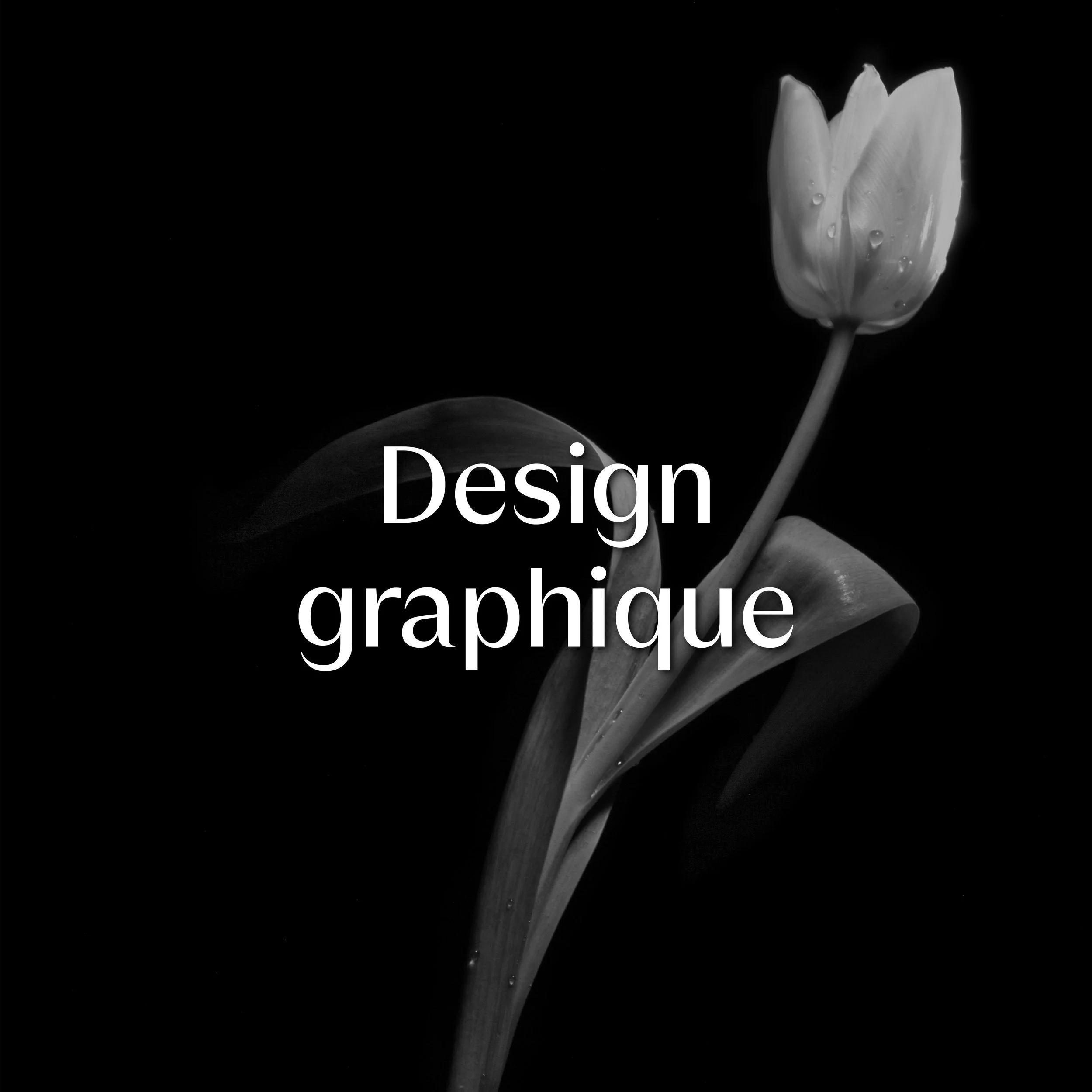 Stratégie commerciale