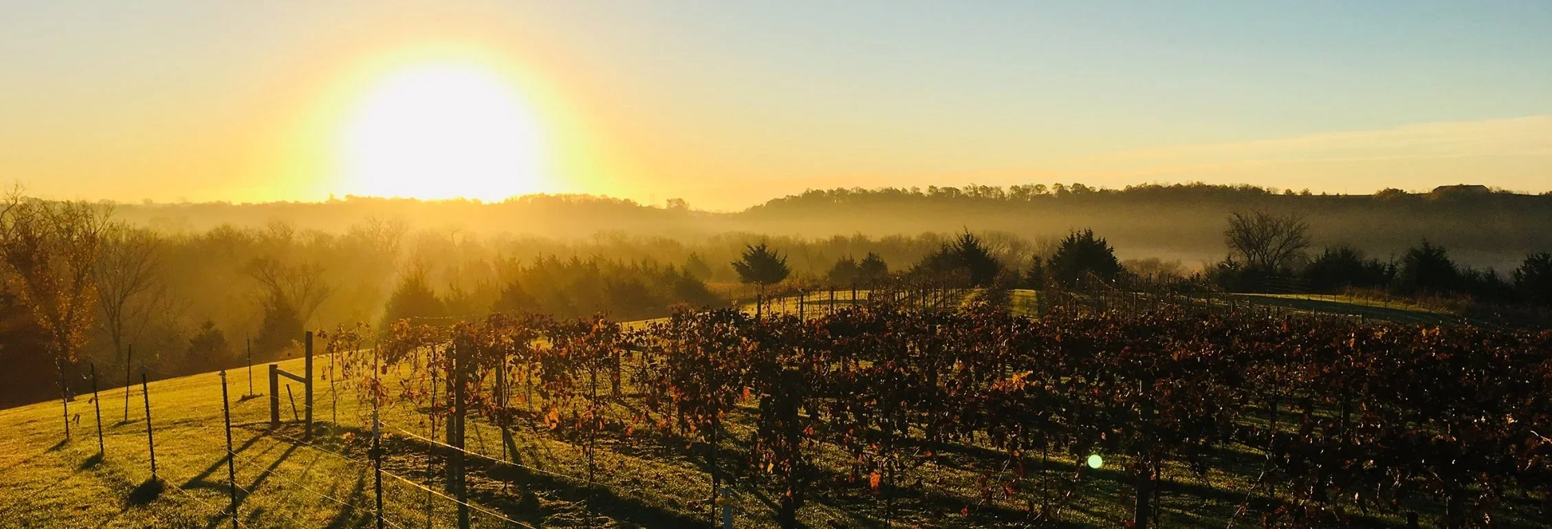 Experience Iowa Wine Country