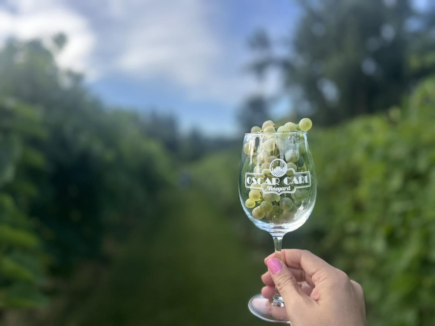Fall Wine Pairings &amp; The Des Moines Holiday Boutique