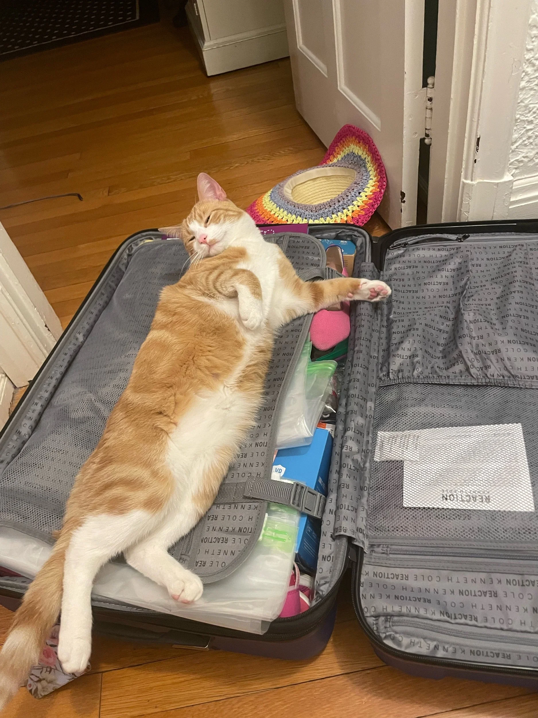 Percy wants to go!