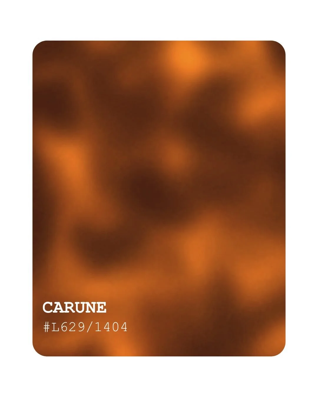 Carune &hellip;

Une &eacute;caille miel et lumineuse. 

Comme un caramel dor&eacute; au soleil, Carune enveloppe le regard de douceur. 
Pour moi elle est la lumi&egrave;re ambr&eacute;e d&rsquo;un souvenir tendre 🤍 
.
.
.
#eyewearstudio #norui #fir