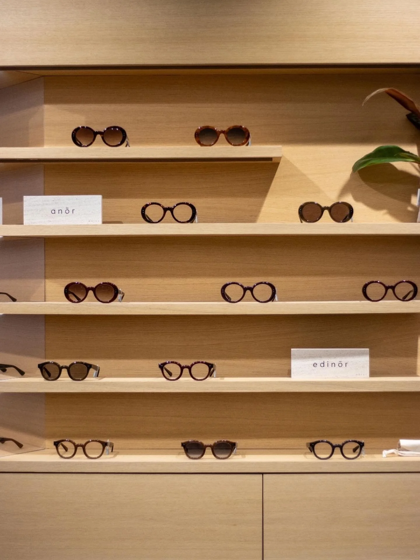 Tu viens demain ?
.
.
.

#quartierbrugmann #eyewearstudio #norui #opticiencreateur 

📷 @ankatg 
👓 @norui.be