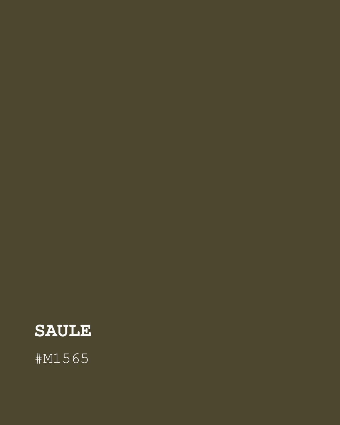 Saule.

Choisir les couleurs d&rsquo;une collection n&rsquo;est jamais &eacute;vident, pour moi chacune doit &ecirc;tre pens&eacute;e pour vivre avec les autres. 
Mes couleurs racontent une m&ecirc;me histoire, celle d&rsquo;une nature apais&eacute;e