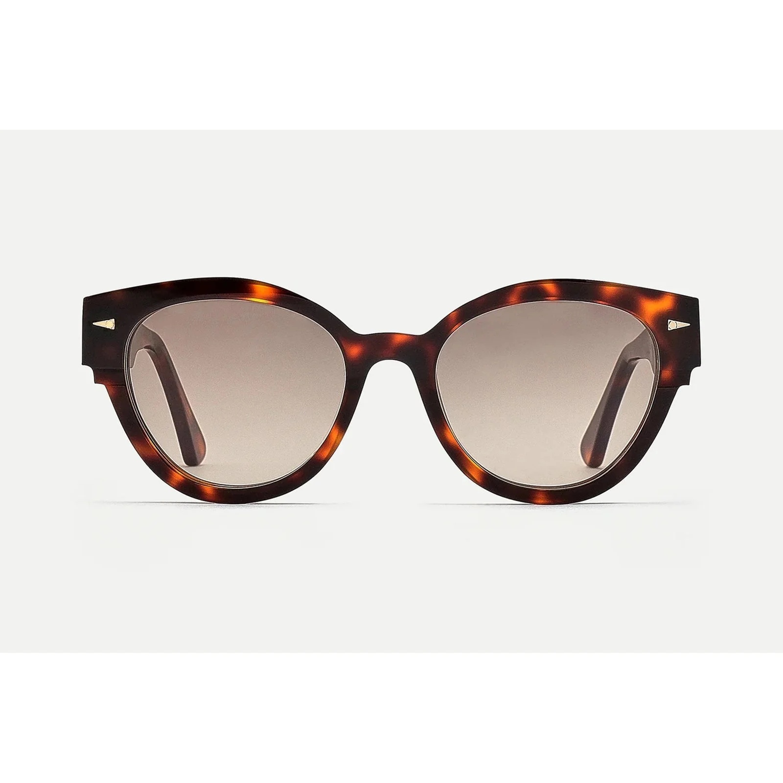 Longchamps SUN - Classic Turtle
